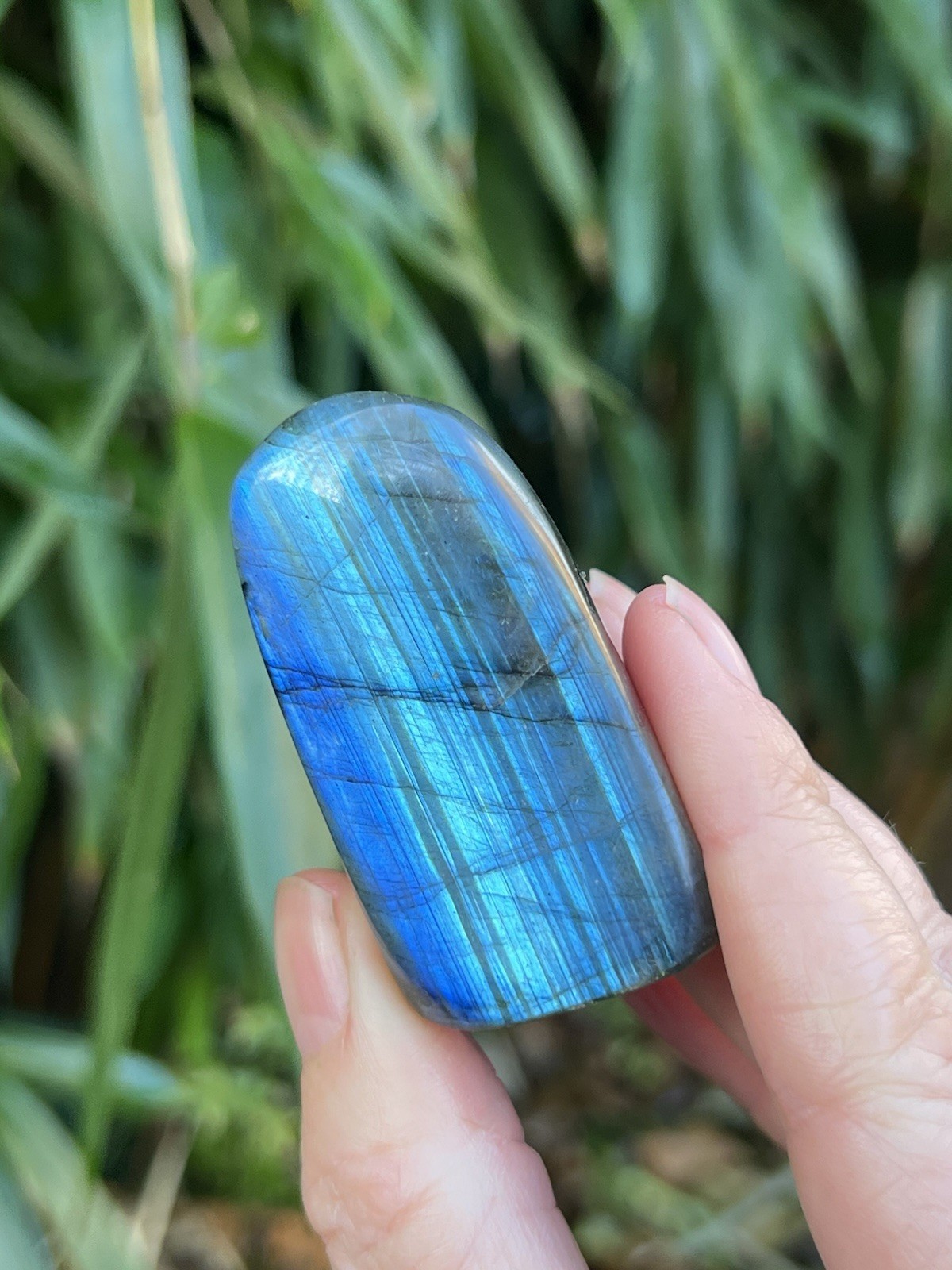 Deep Blue Labradorite Freeform Iridescent Crystal AAA+ 14
