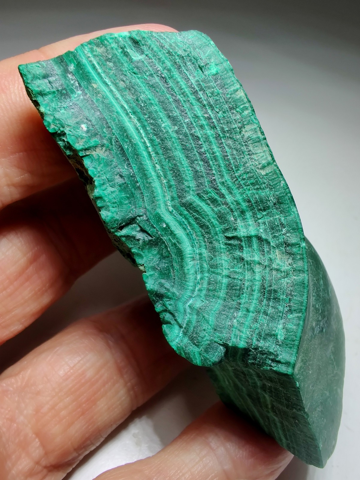 Malachite specimen with great banding. Kolwezi, D.R Congo. 191 grams.