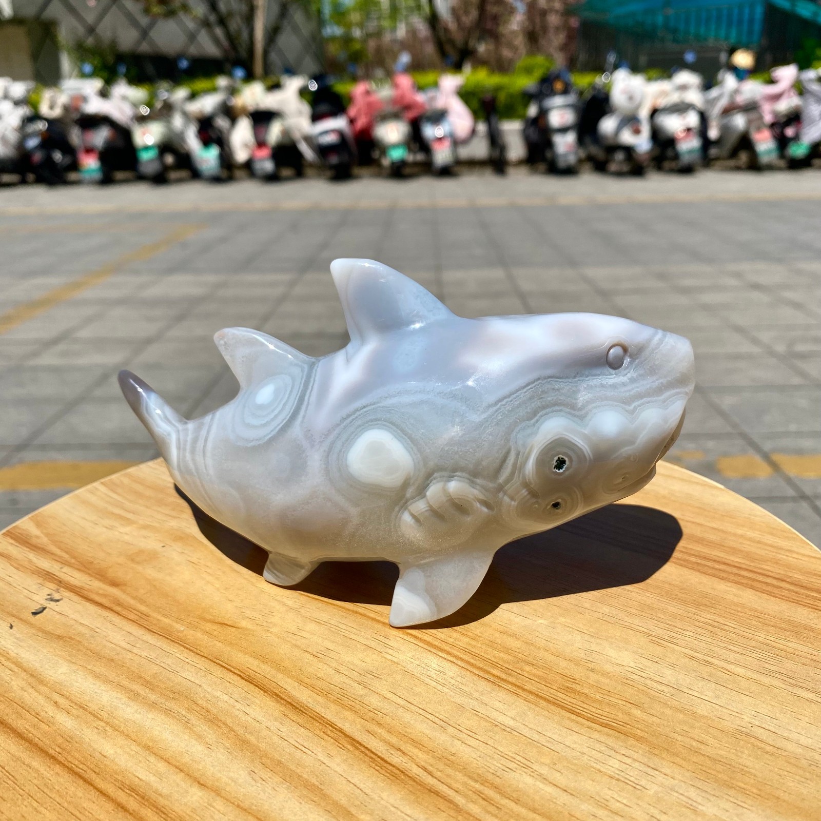1.41LB Natural Agate Hand Carved Shark Figurine, Ocean Power Crystal Statue