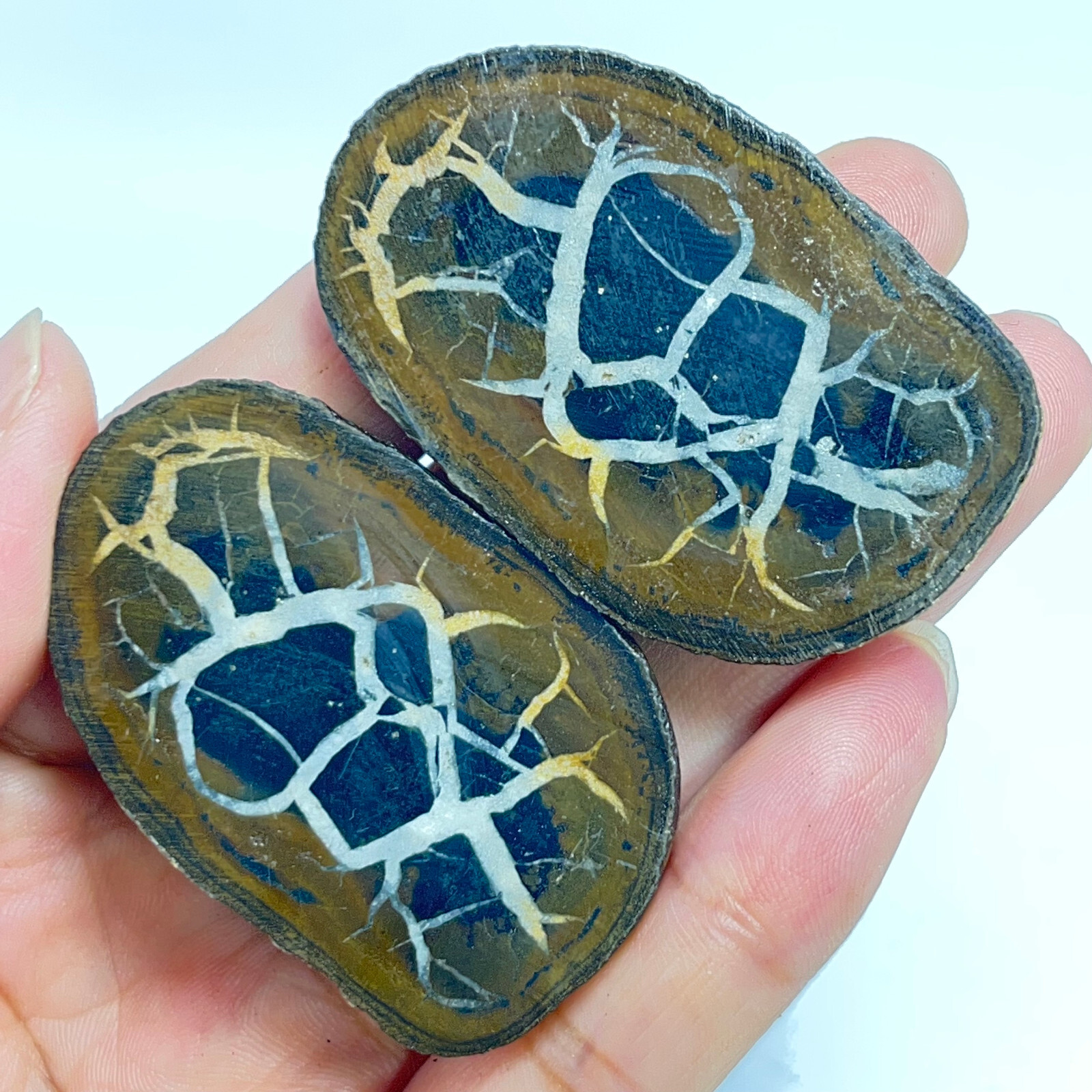 62G Natural Crystal Moroccan Turtle Back Stone Cutting Quartz Energy Spirit