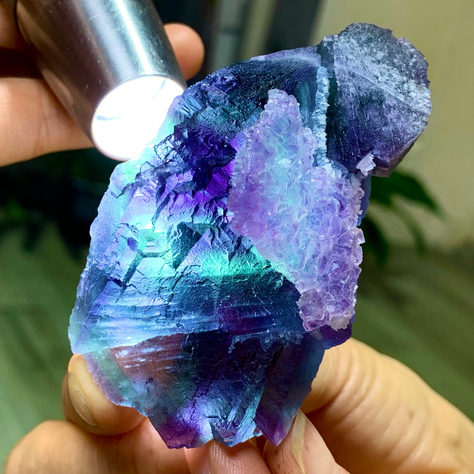 150G Rare Purple Green blue cubic fluorite mineral crystal sample/Zhejiang