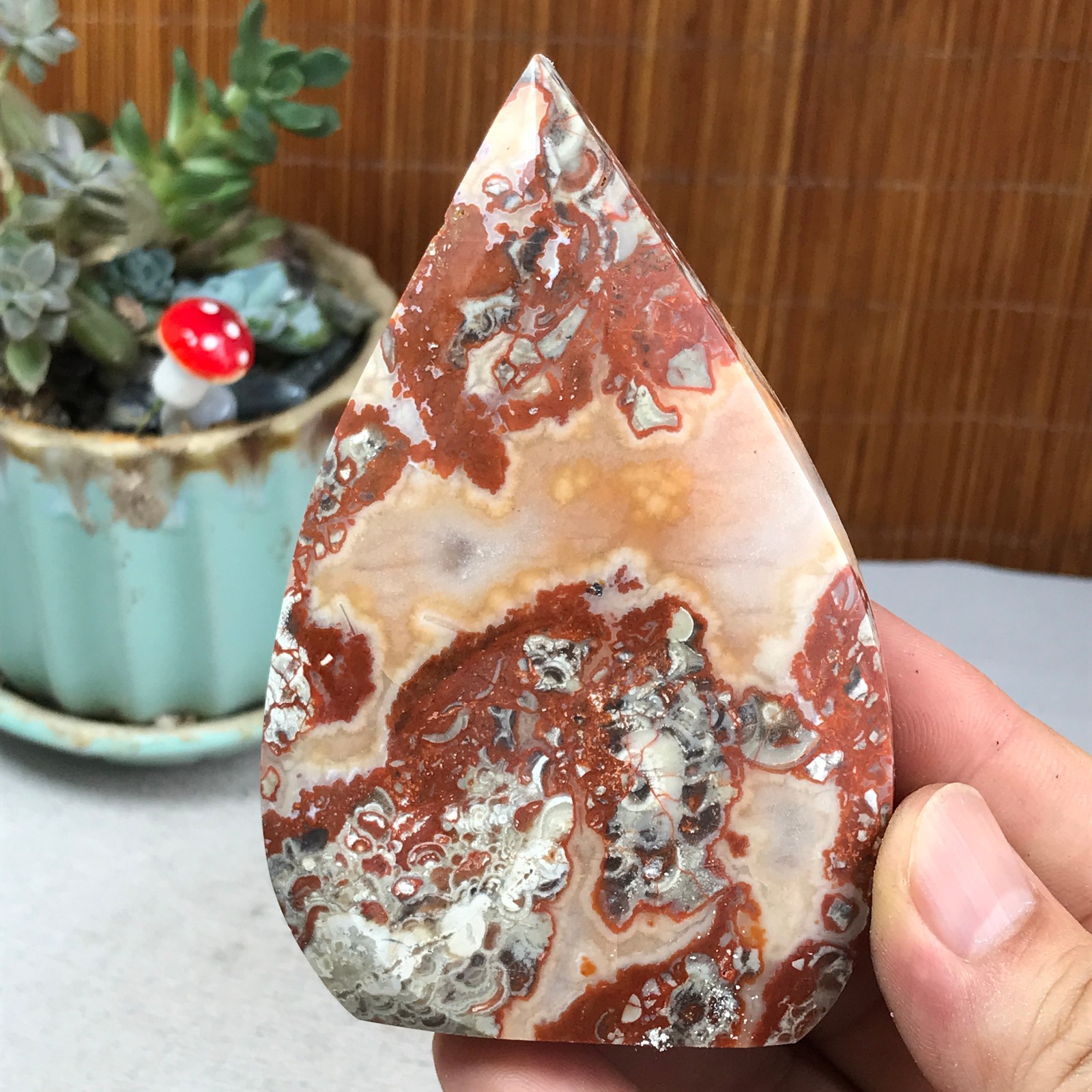 Natural money Mexico agate hand carve leaf Crystal Specimen free standing A6263