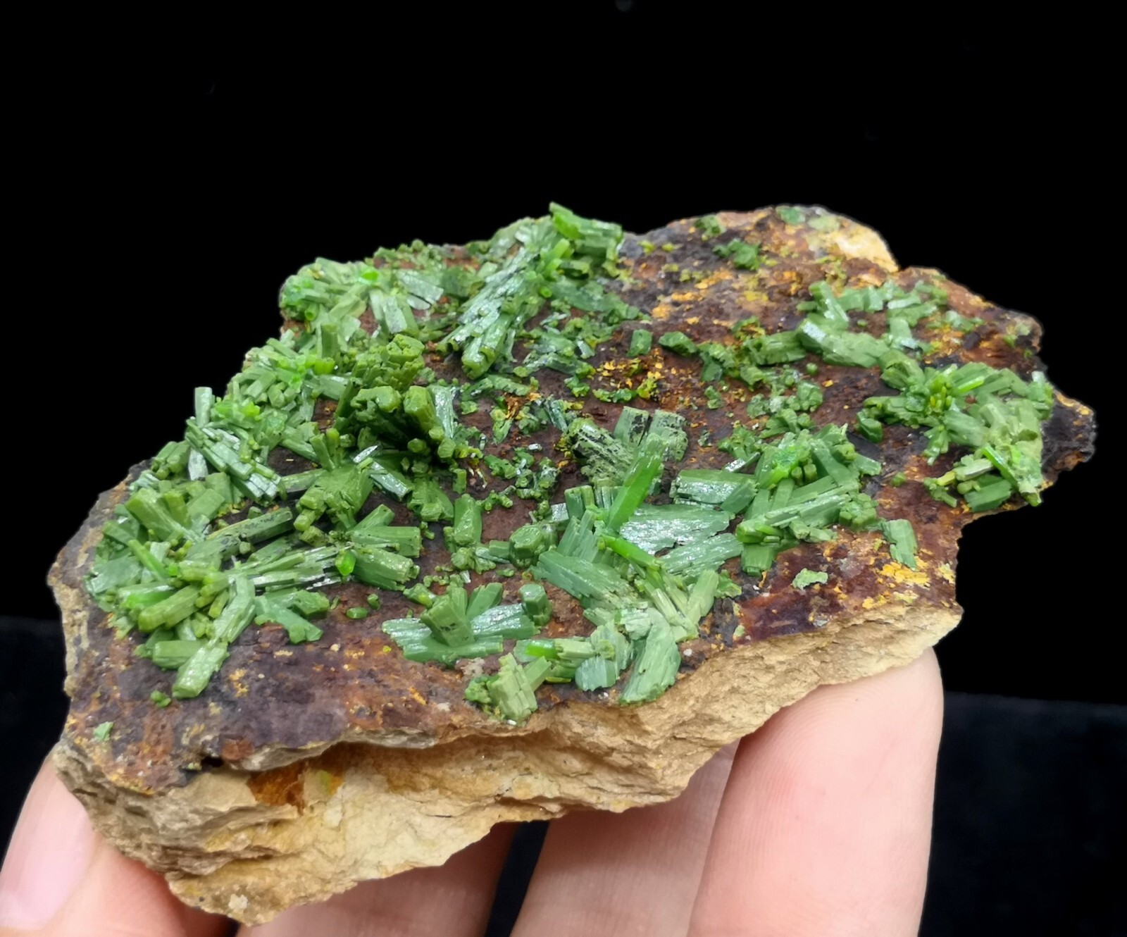 73mm New find ‘Matcha-Green’ Pyromorphite on matrix