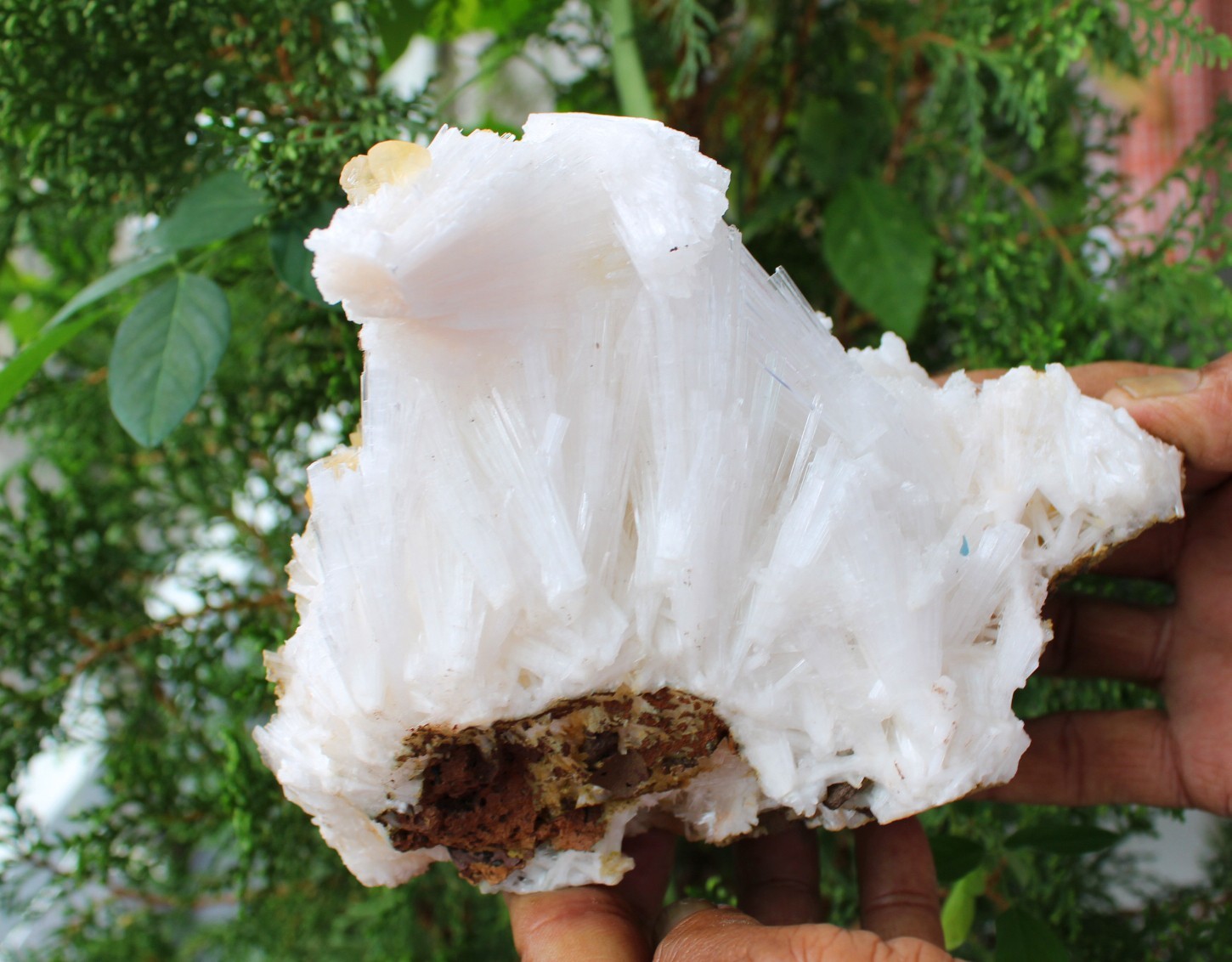 Calcite Crystals On Scolecite Formation On Matrix Minerals Specimen