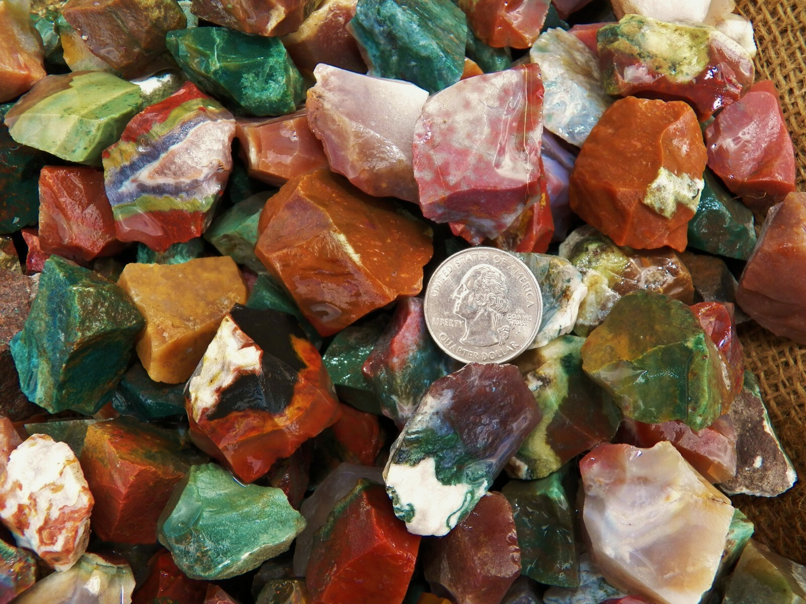 3000 Carat Lots of Fancy Jasper Rough – Plus a FREE Faceted Gemstone