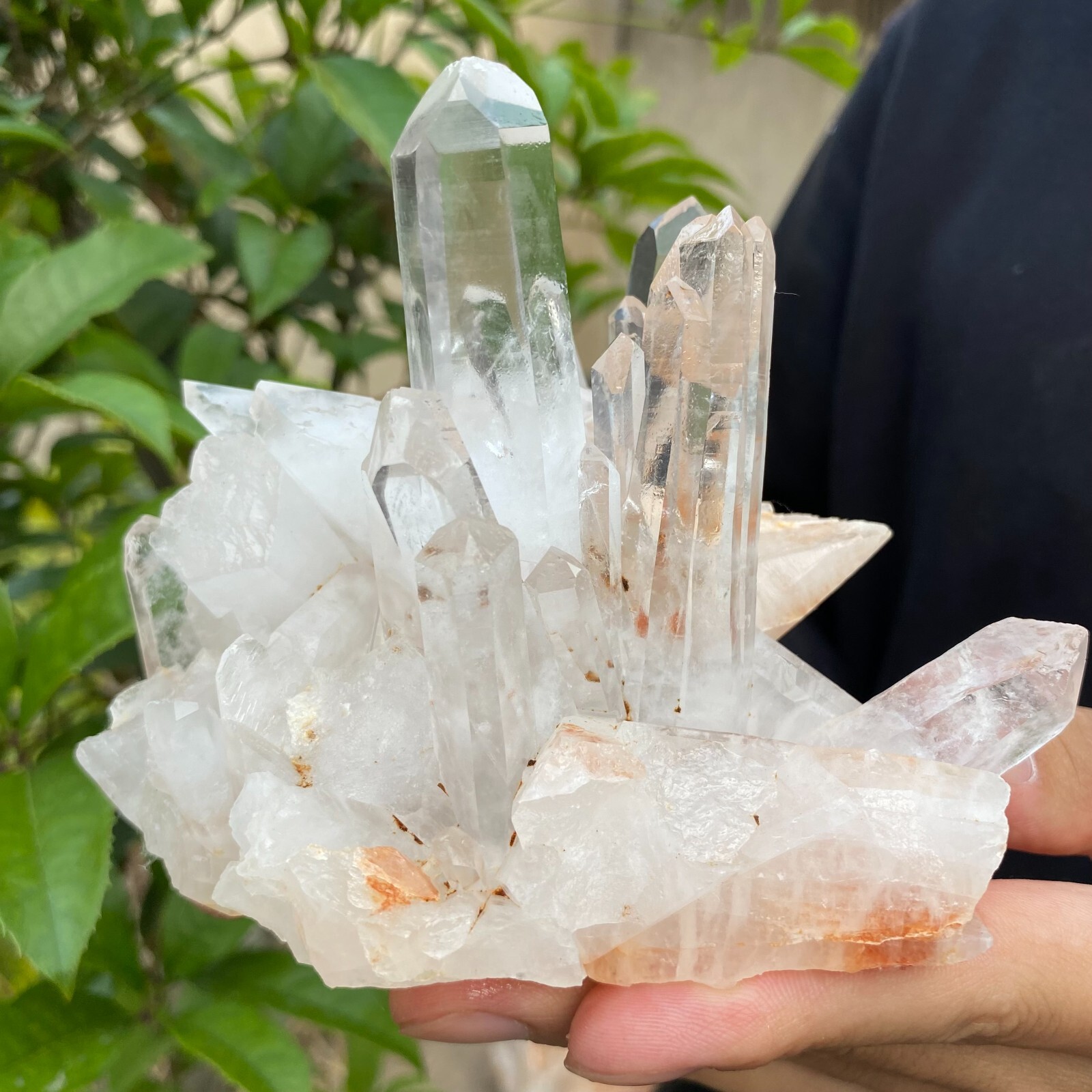1.6lb Natural Clear White quart Crystal Cluster Raw Healing Specimen