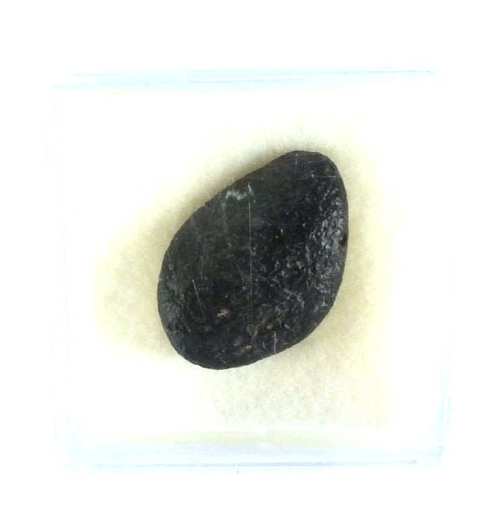 Australite Tektite, Sandpit nr Port Campbell. Victoria Australia (EA10445) Boxed