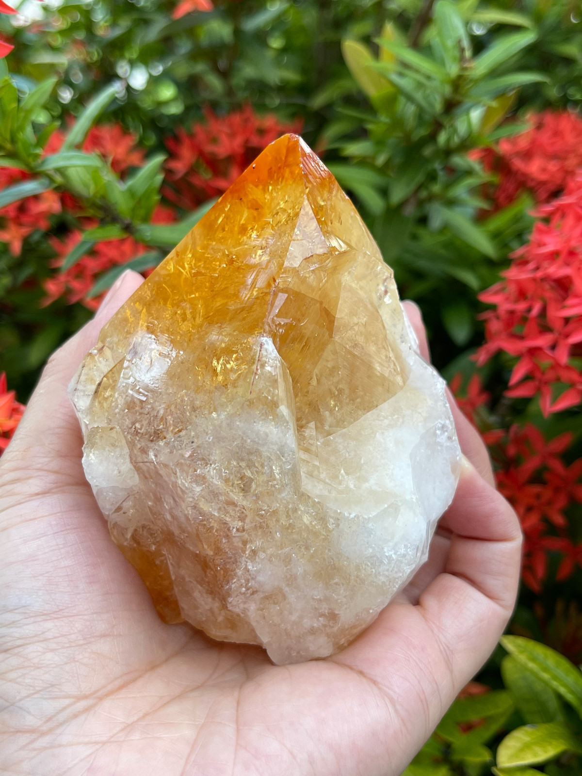 Standing Citrine Top Polished Rough Point, Deep Orange Citrine Crystal Cut Base