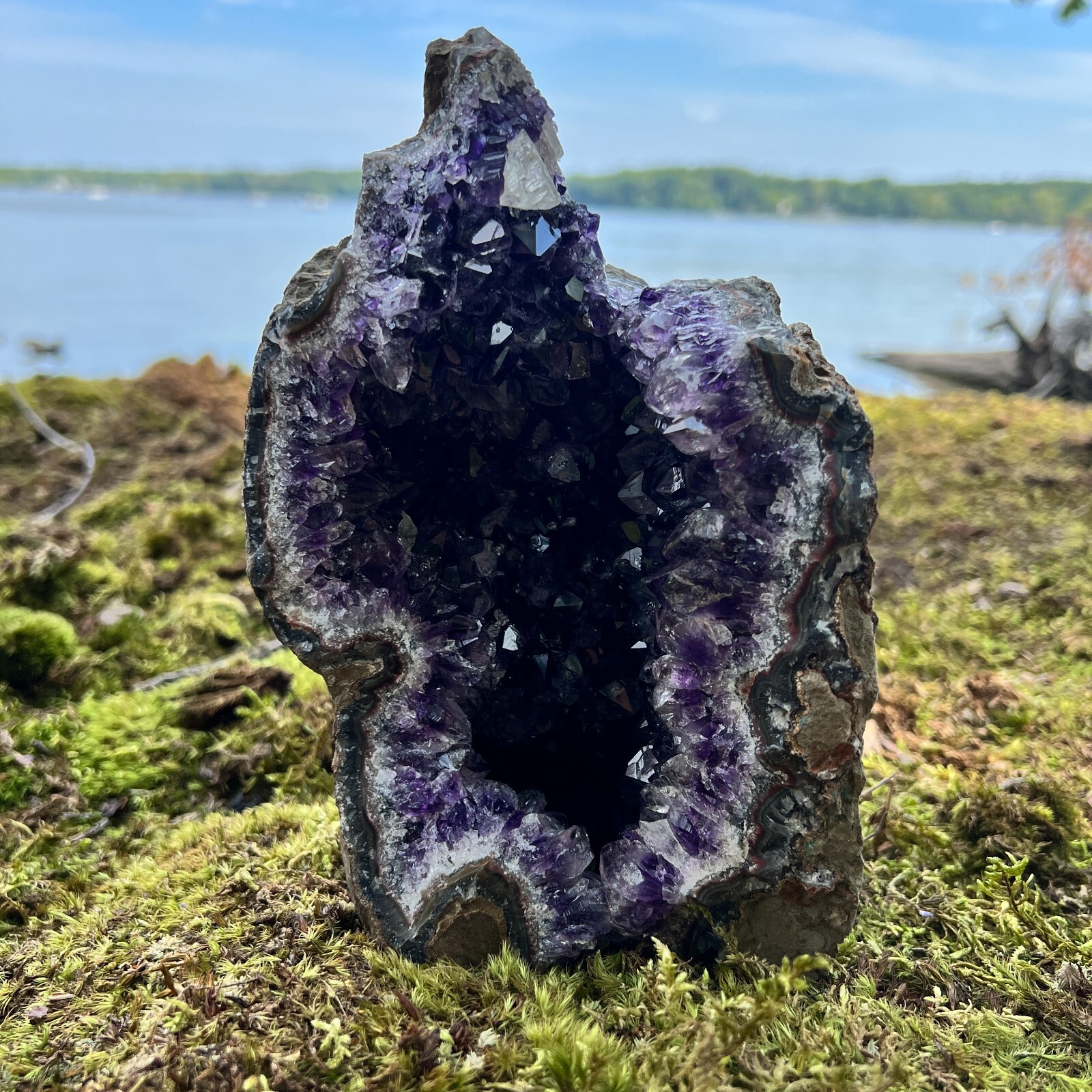 HUGE XXXL LARGE Amethyst Druze Crystal Cluster With Cut Base Specimen ~ 4-6 Lbs