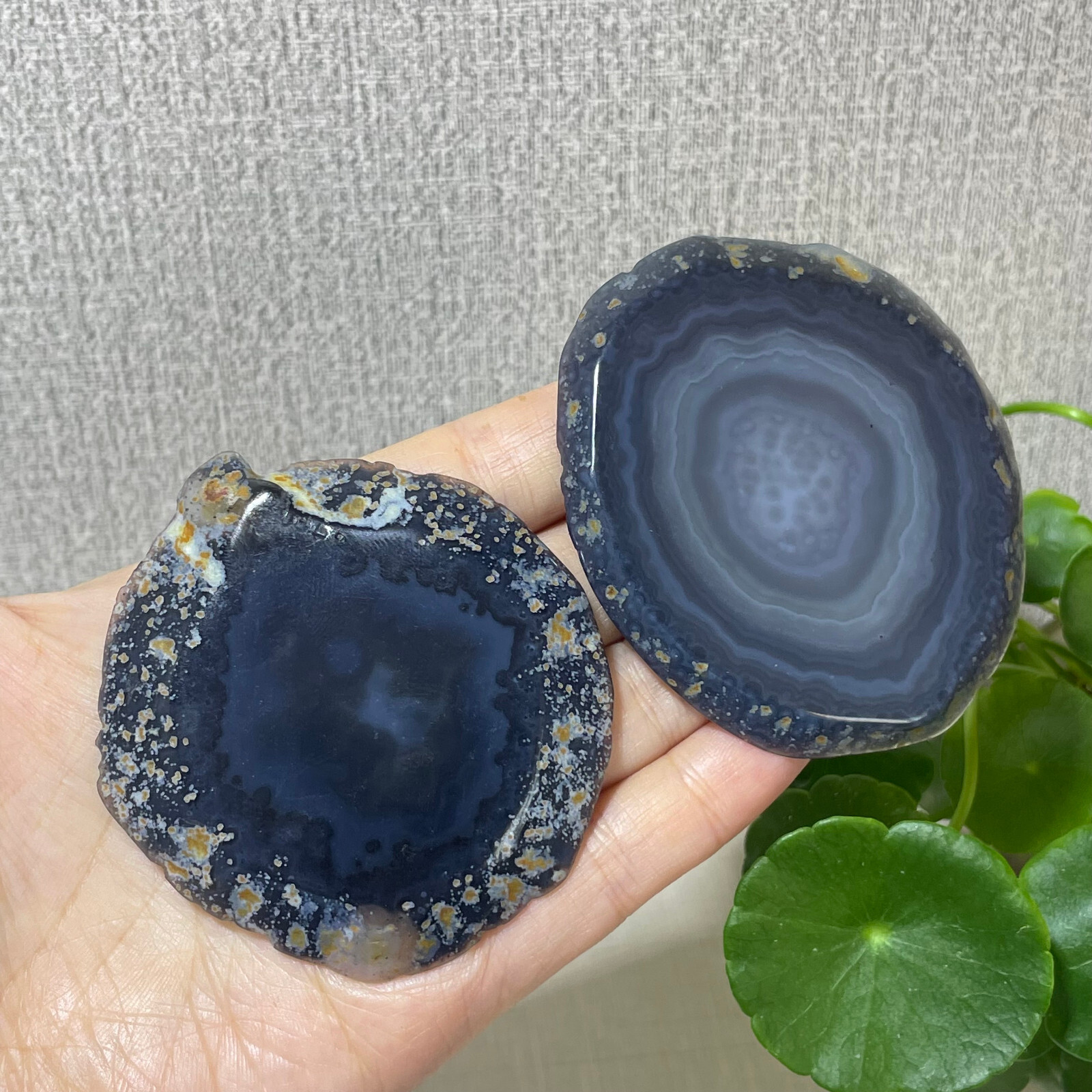 2pcs Brazilian Agate Geode Slab/Slice- Natural Druzy quartz crystals 87g a7712