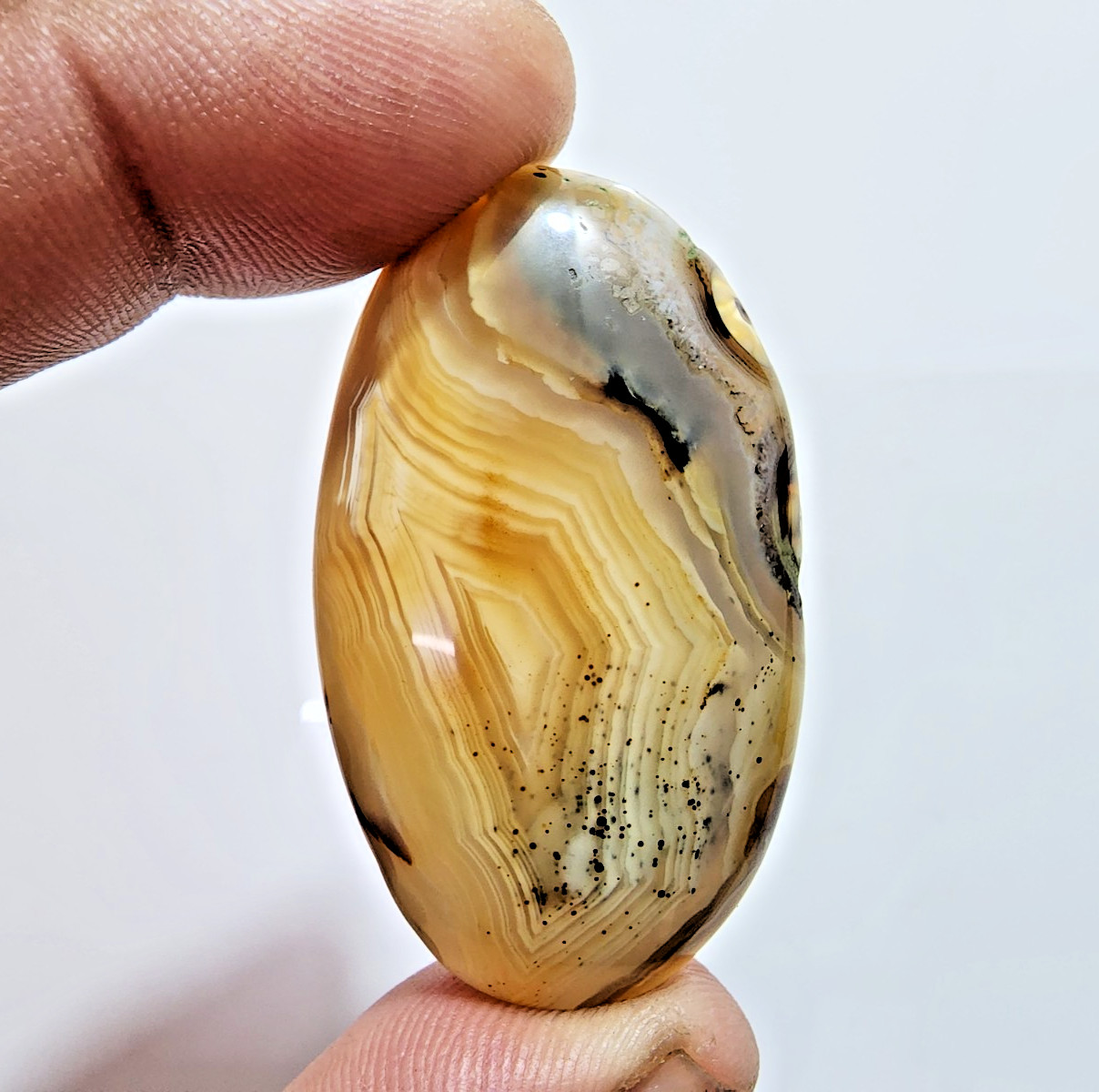 98 Crt Miraculous Montana Agate Oval Shape Natural Agate Loose Gemstone Cabochon