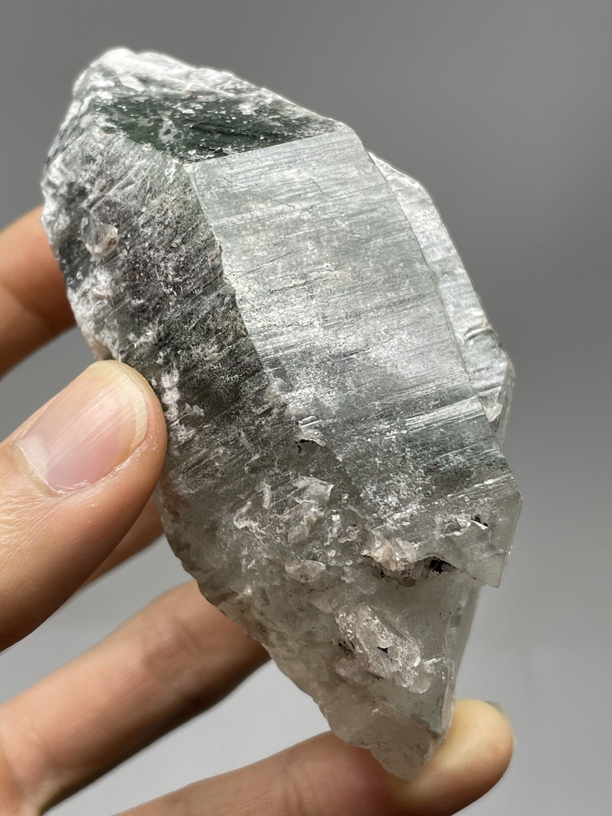 RARE 7.0oz DT Himalayan LEMURIAN Chlorite Quartz Cluster Samadhi Superb! L1