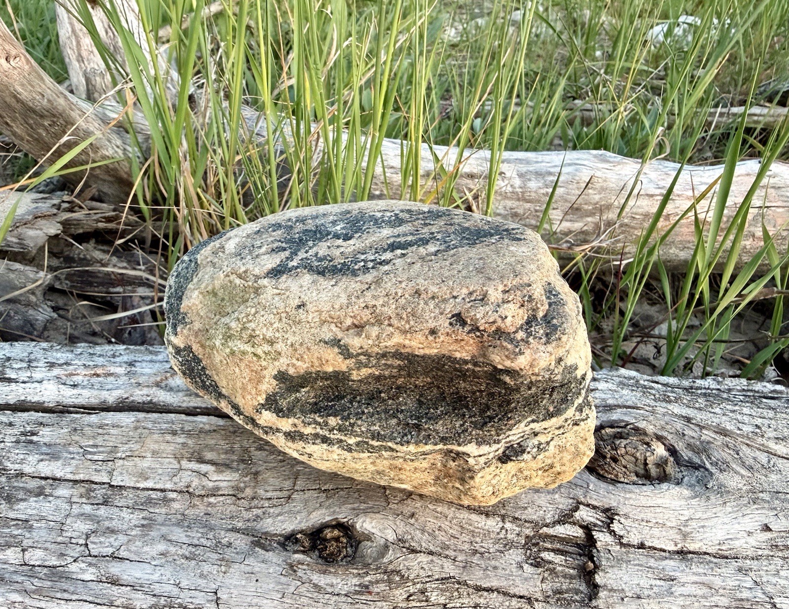 Natural Lake Michigan Rock Granite Large LOOK! 👀 3lb+ READ CAREFULLY