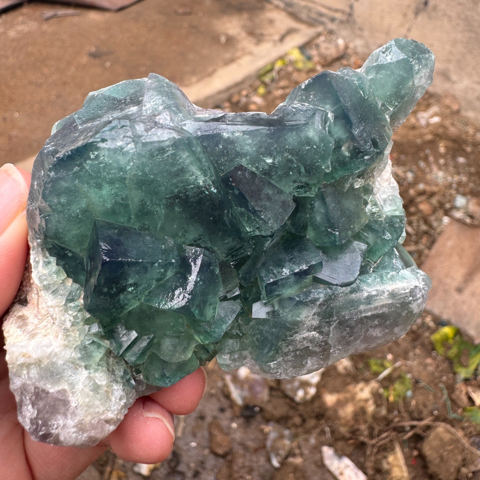 240G Natural cubic green fluorite crystal cluster rough mineral specimen Healing