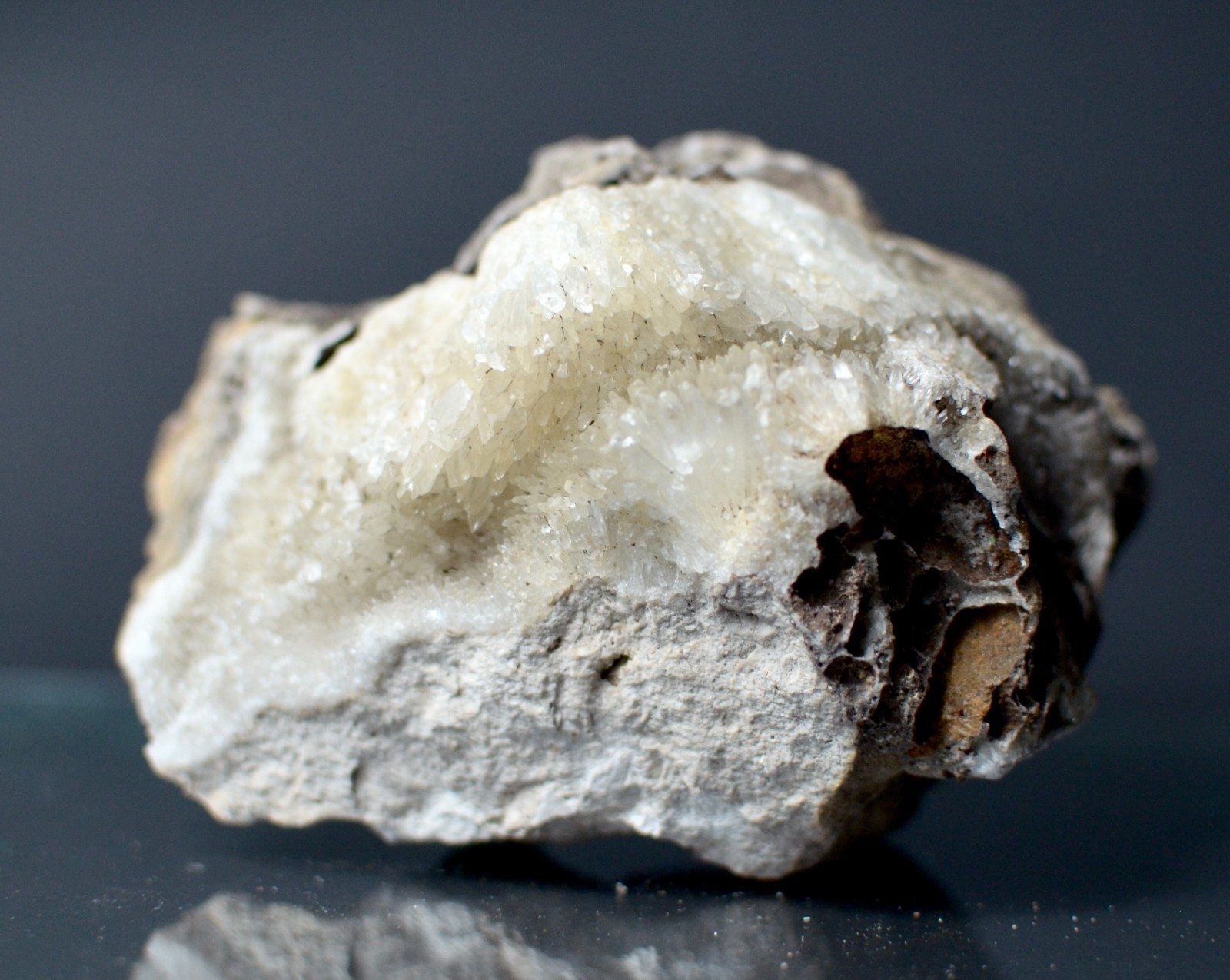 Fluorescent Aragonite Needle Spray in Fossil Matrix | Crystal River, Florida