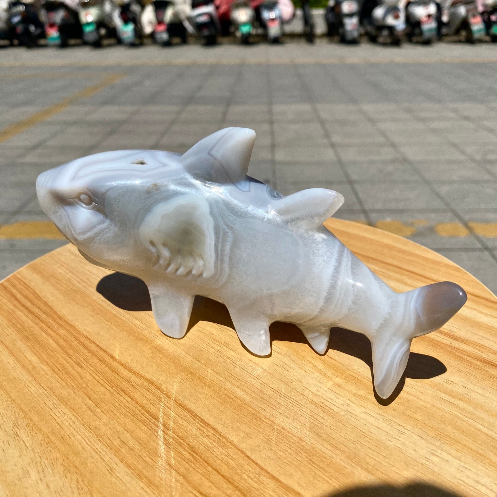 1.41LB Natural Agate Hand Carved Shark Figurine, Ocean Power Crystal Statue