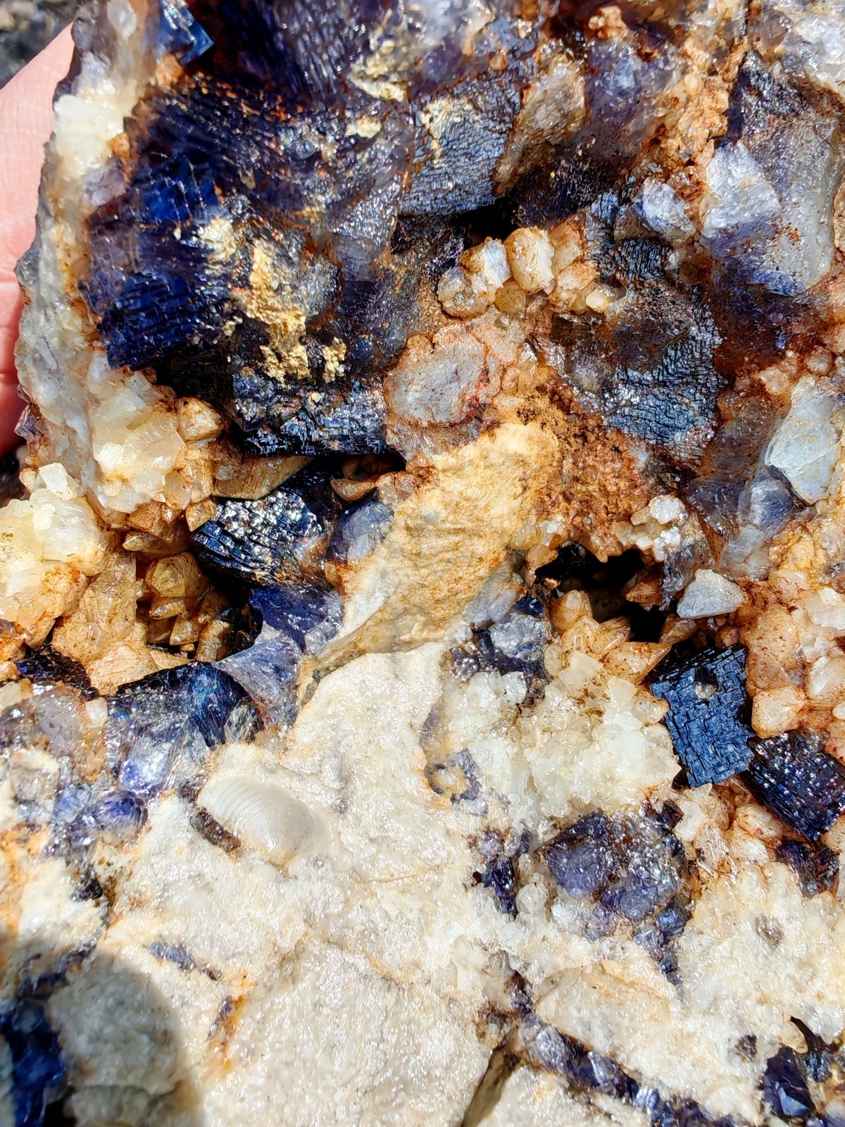 Blue John Fluorite Large Raw Crystal Cluster On Fossil Matrix