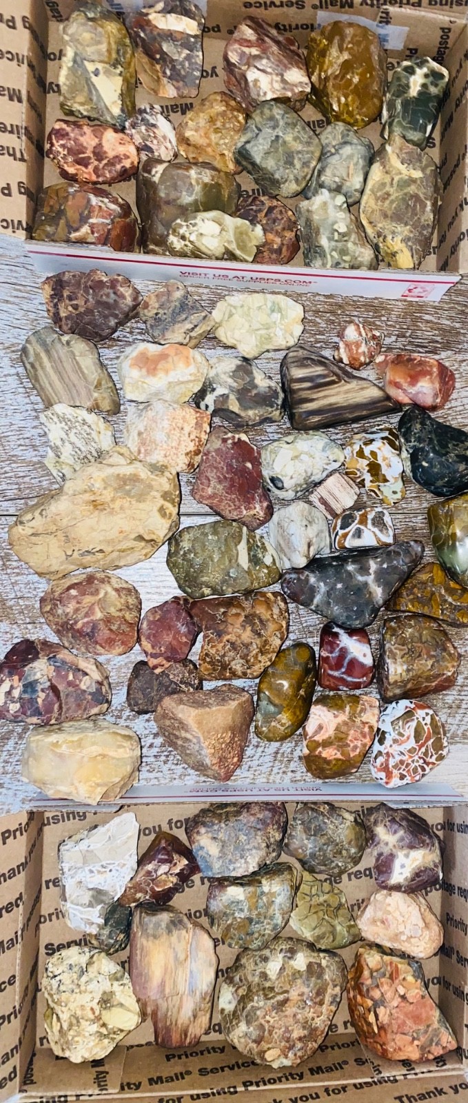 2.5 POUNDS of TUMBLING ROUGH Agate Petwood Barfstone Jasper Chert FREE SHIPPING