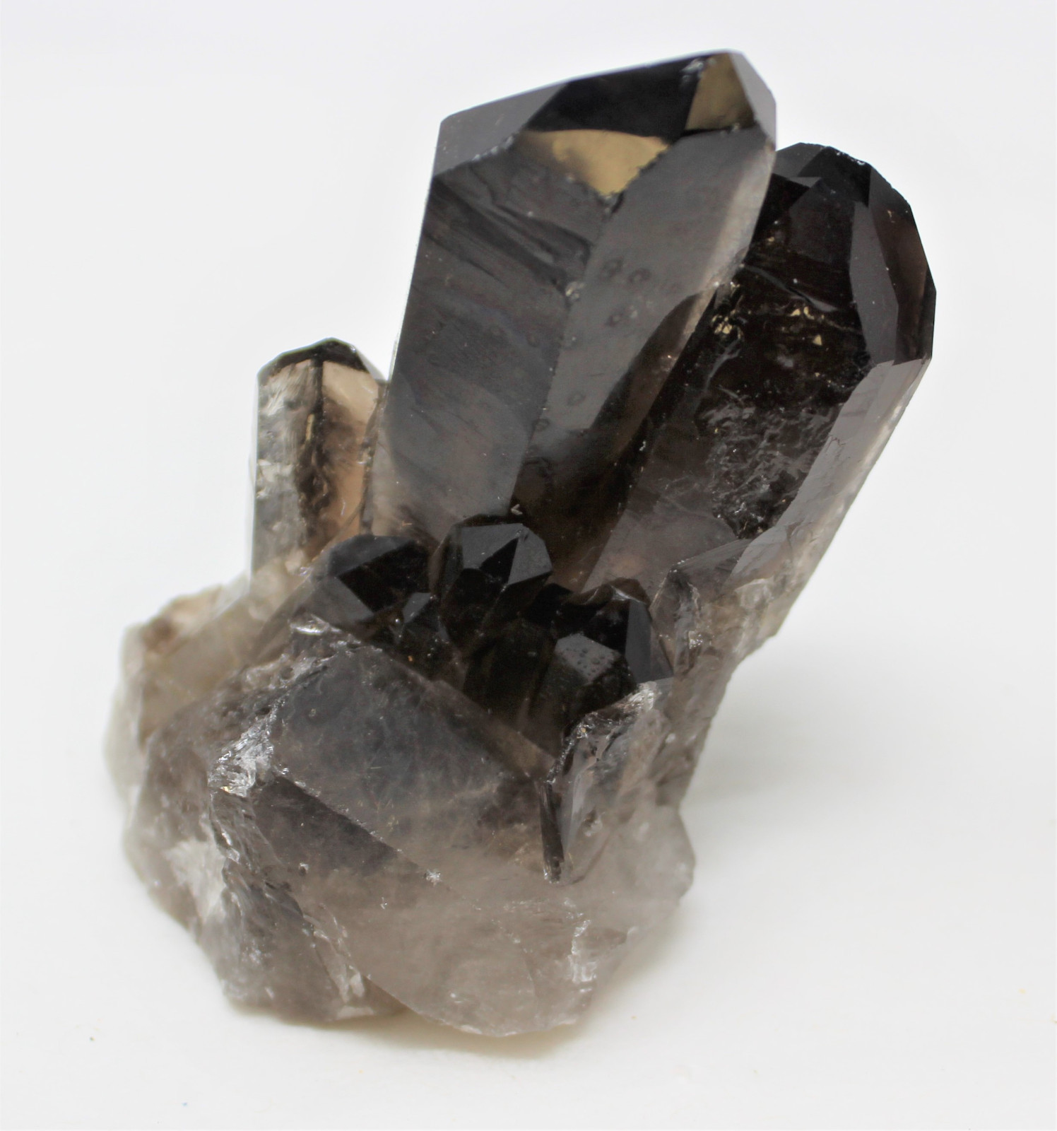 Smoky Quartz Crystal Cluster (3 – 4 oz) Natural Quartz Druze Geode Specimen