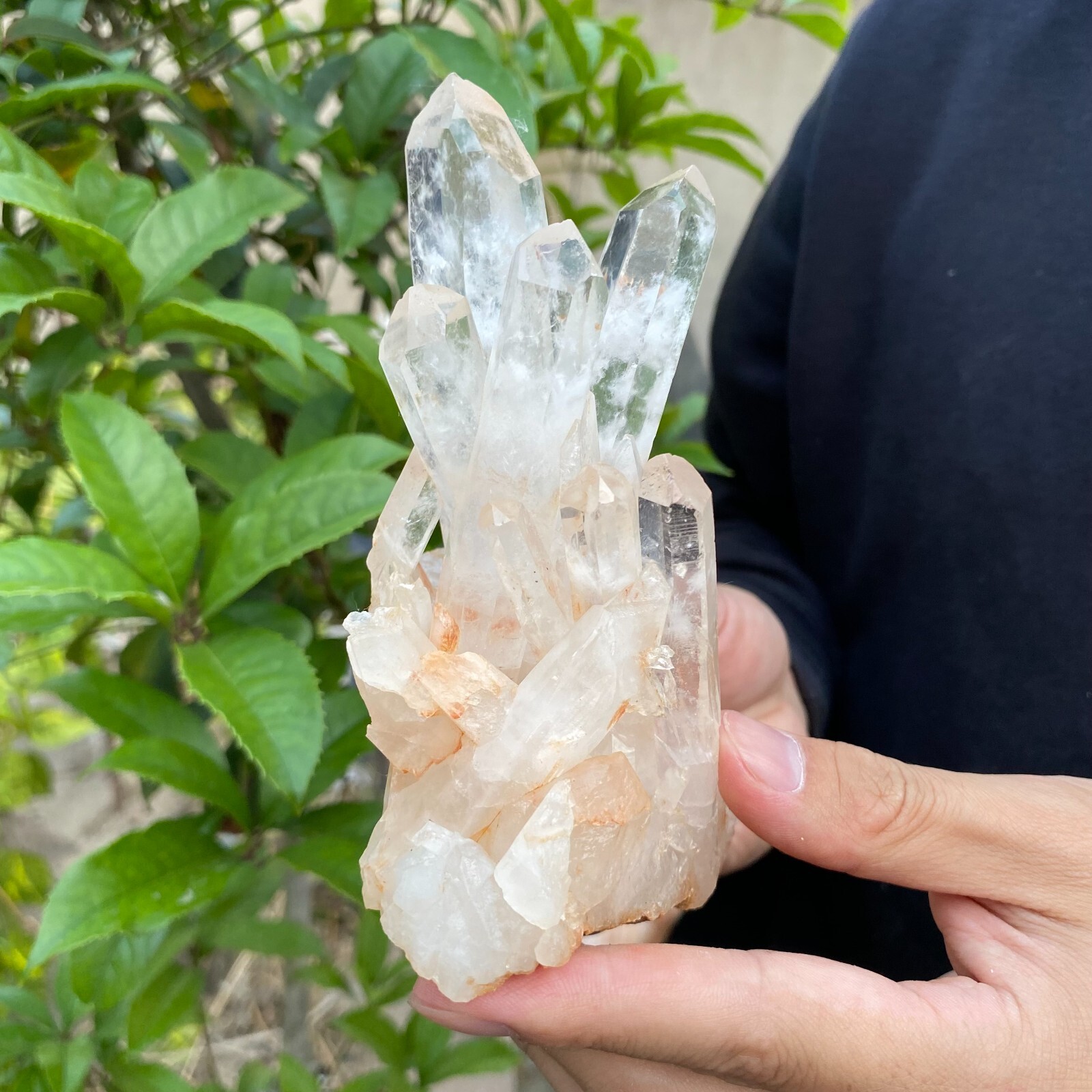 1.2lb Natural Clear White quart Crystal Cluster Raw Healing Specimen
