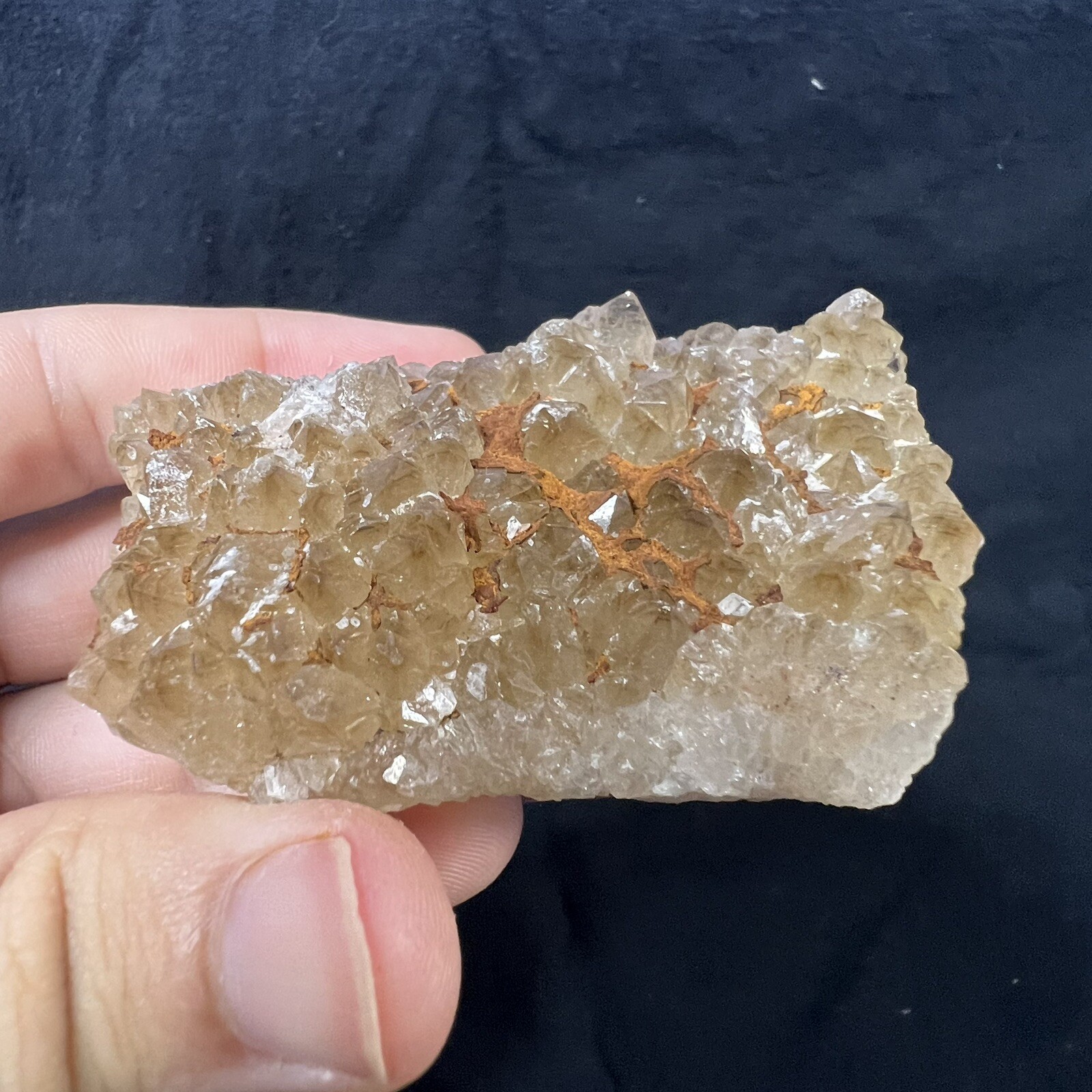 Lot of 6 Quartz Crystal Druse Clusters on Lace Agate | Missouri