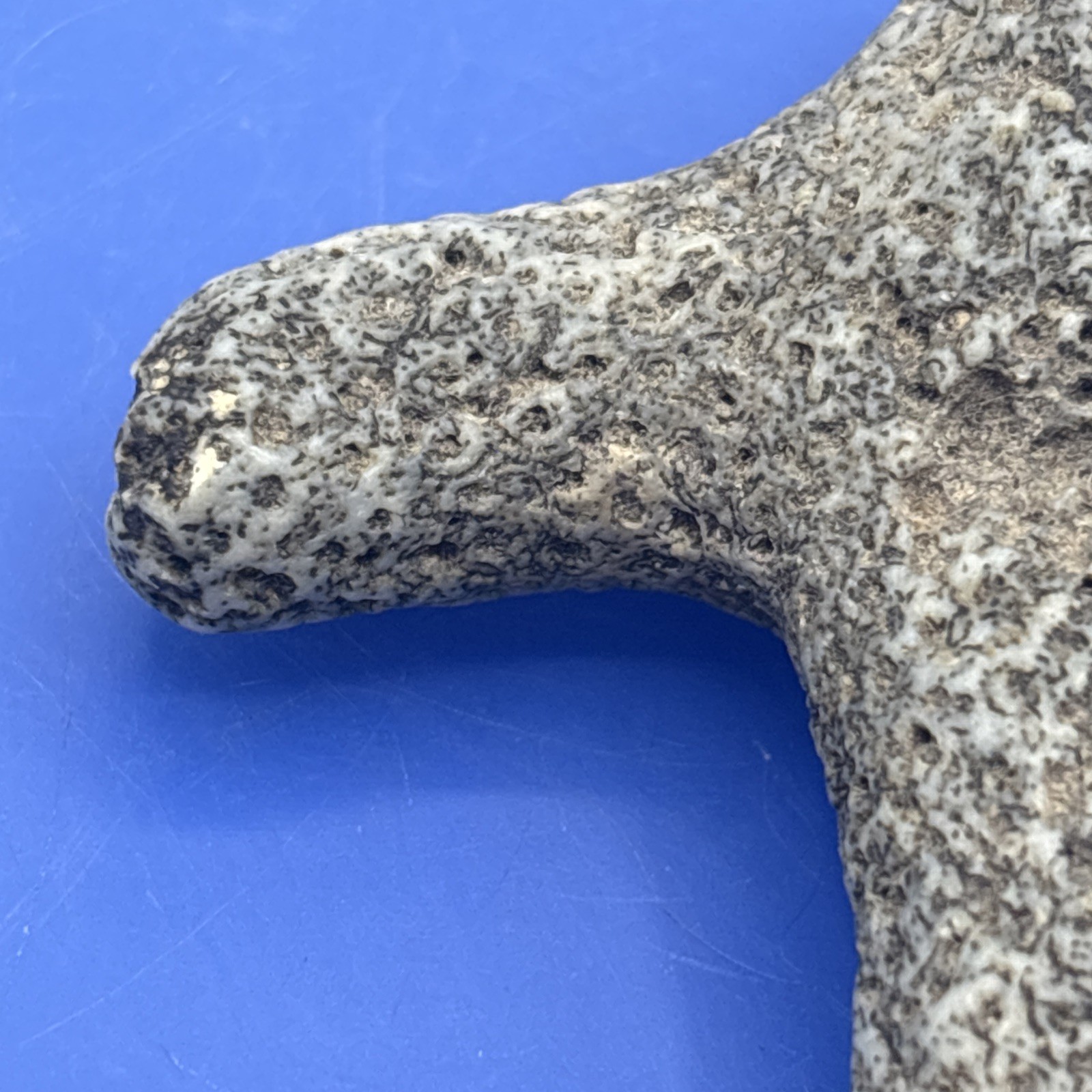 Carved Stone Abstract Palm Stone Sculpture Possibly Fossil Coral 3.25” Cross