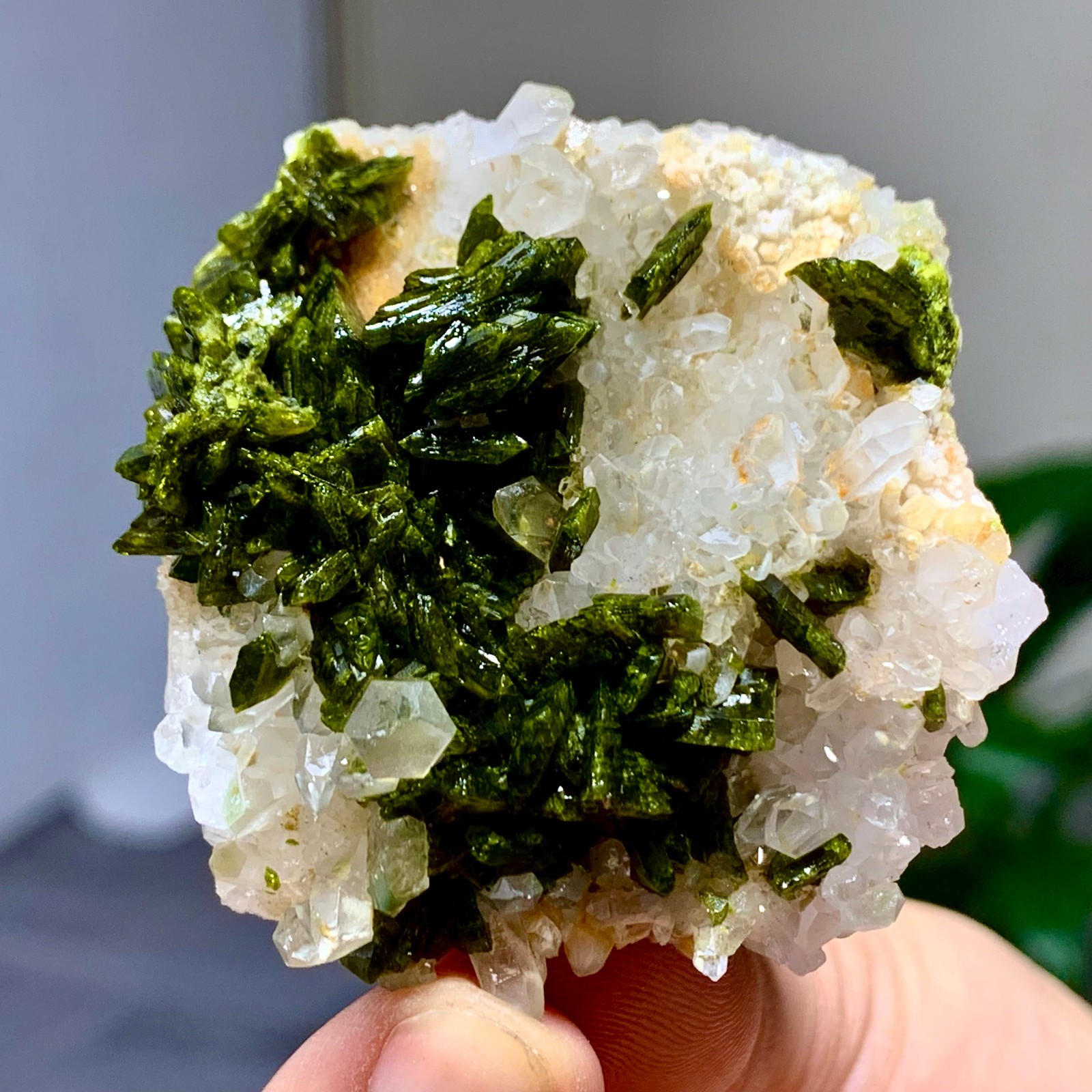 46g Natural Garden quartz cluster specimen tourmaline mineral healing SiChuan