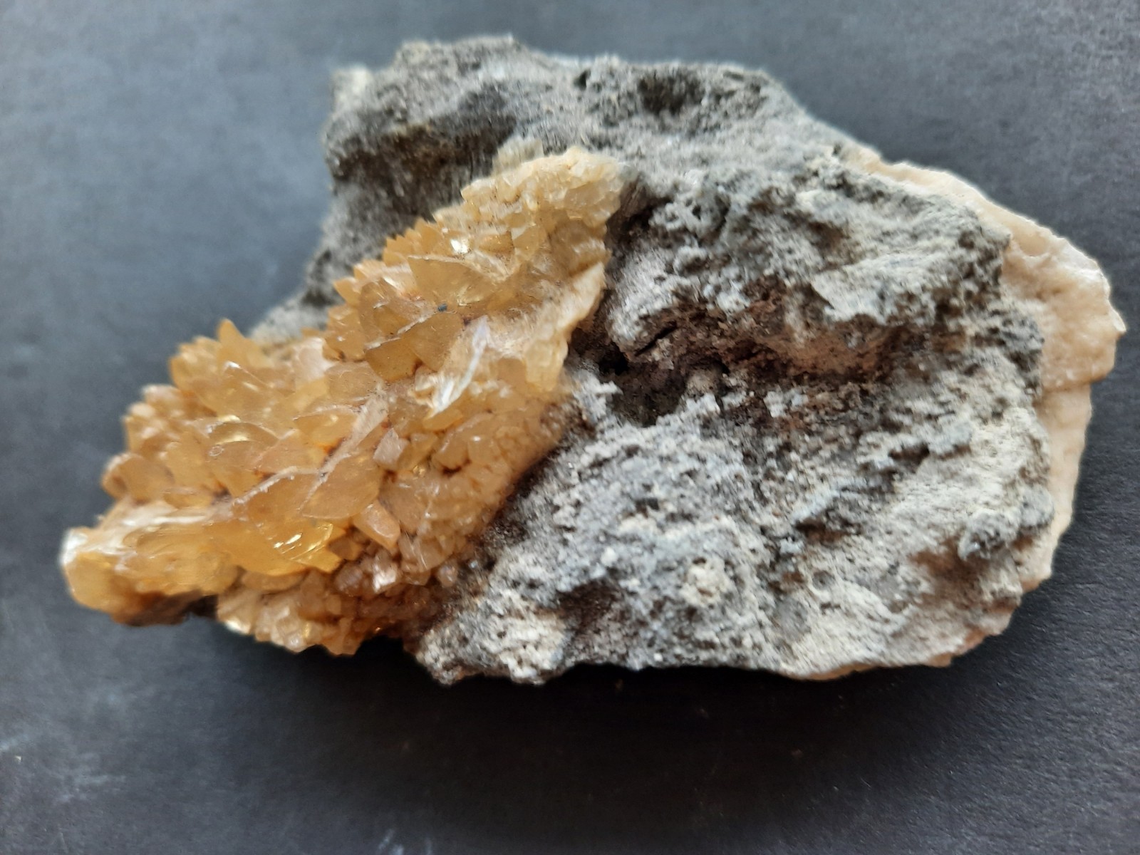 Golden Yellow Honey Calcite Crystals on Fossil Mangrove Clam Shell Rucks Pit