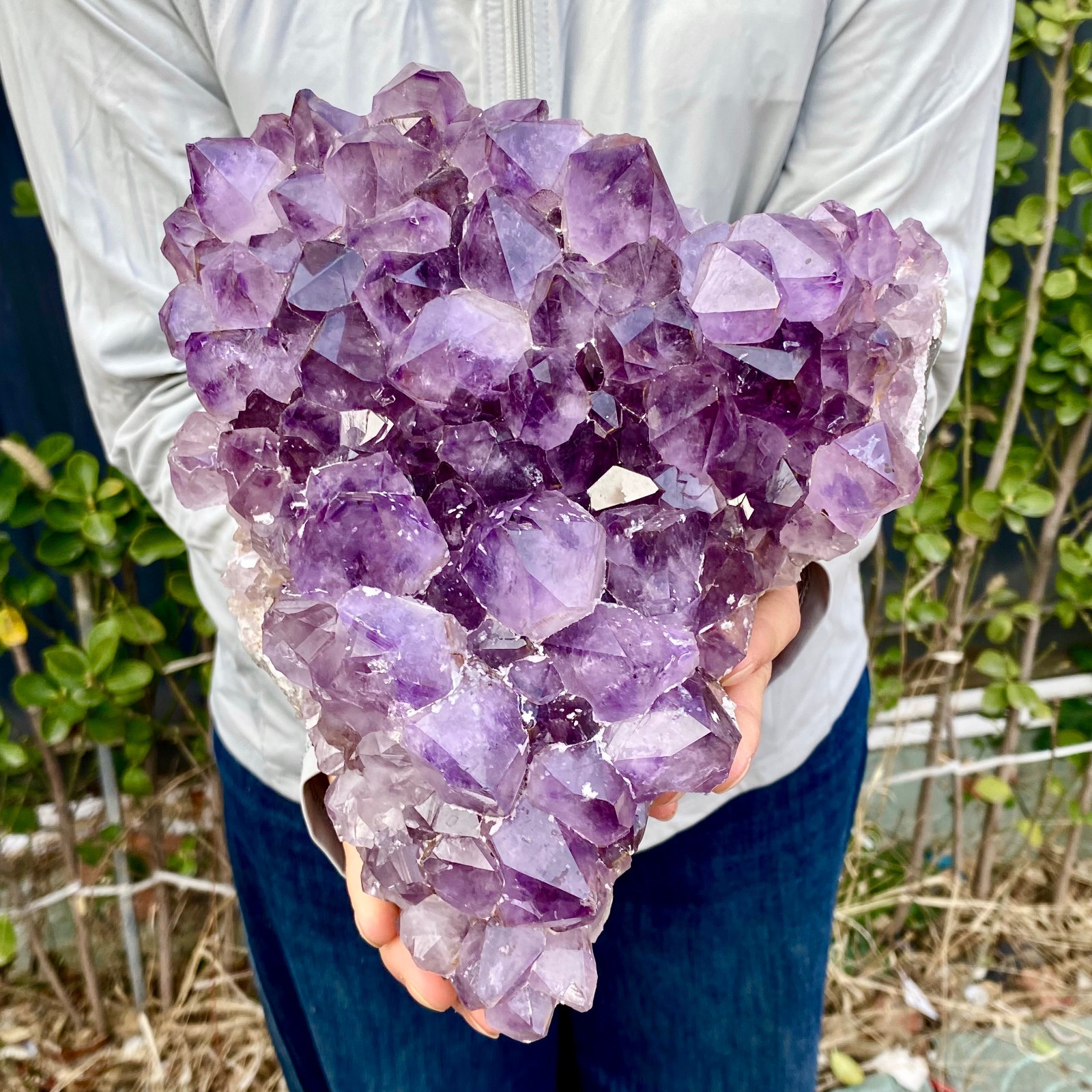8.8LB Natural Amethyst geode quartz cluster crystal specimen Healing
