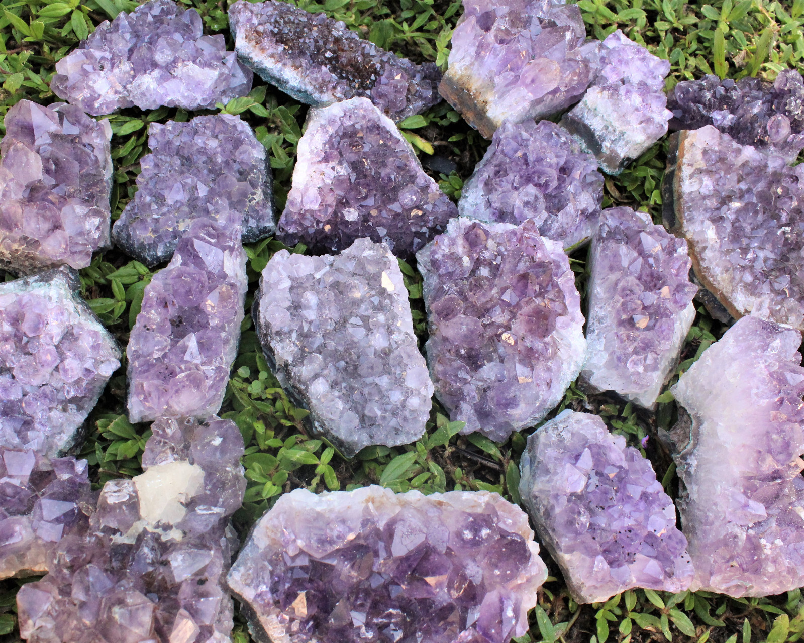 Bulk LARGE Natural Amethyst Crystal Clusters B/C Grade 2lb – 3lb: 4-5 Piece Box