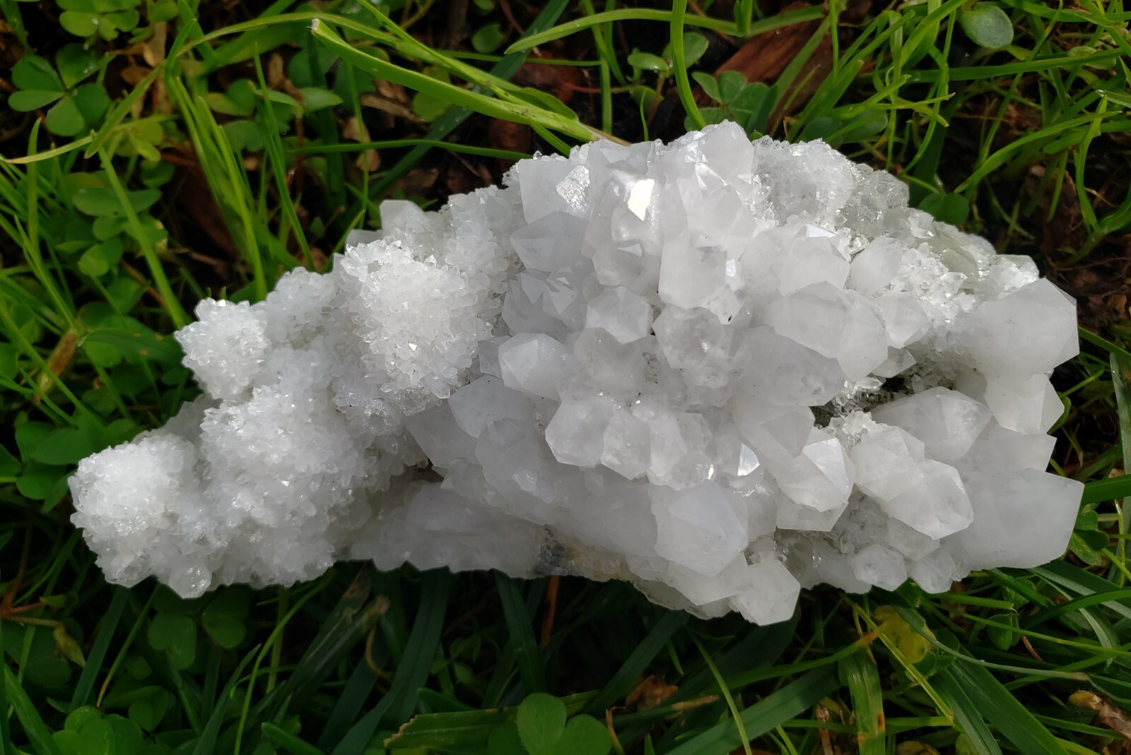 Natural White Quartz Crystal on Fluorite Cluster Specimen, 175g or 6.2oz