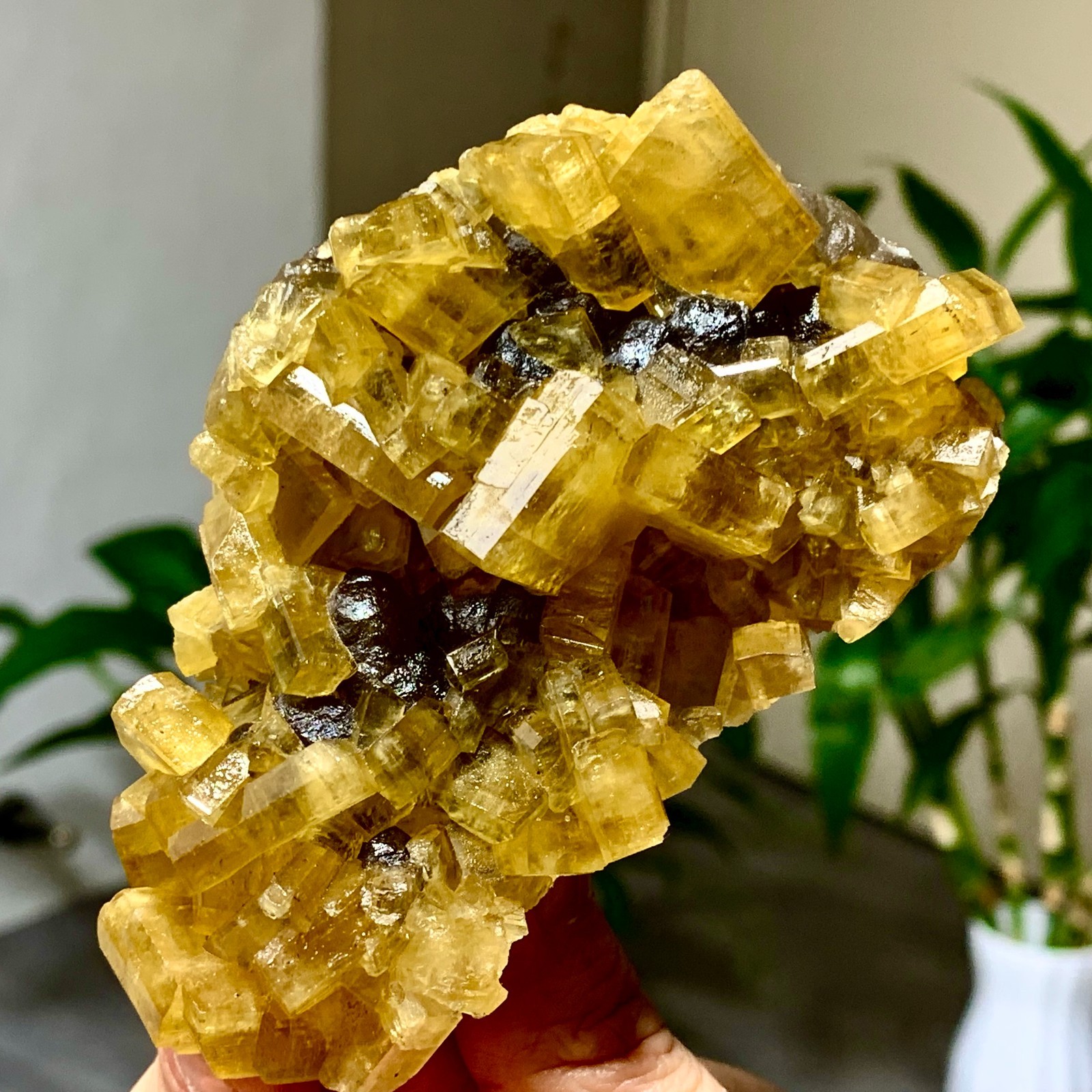 300G Shiny Golden Cuboid Barite Crystal Based on the Purple Spherical Fluorite