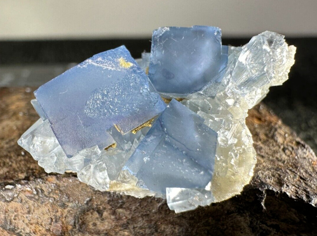 ➤ Thumbnail 1-3/8 Inch Blue FLUORITE CLUSTER Blanchard Mine New Mexico VIDEO➤405