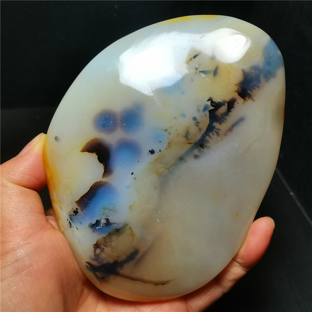 TOP 384 G Natural Polished Aquatic Plants Agate Crystal Madagascar BY384