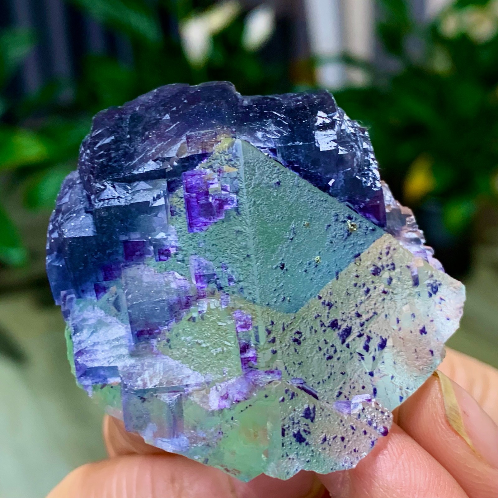 123G Rare transparent green purple cubic Zhejiang fluorite mineral sample