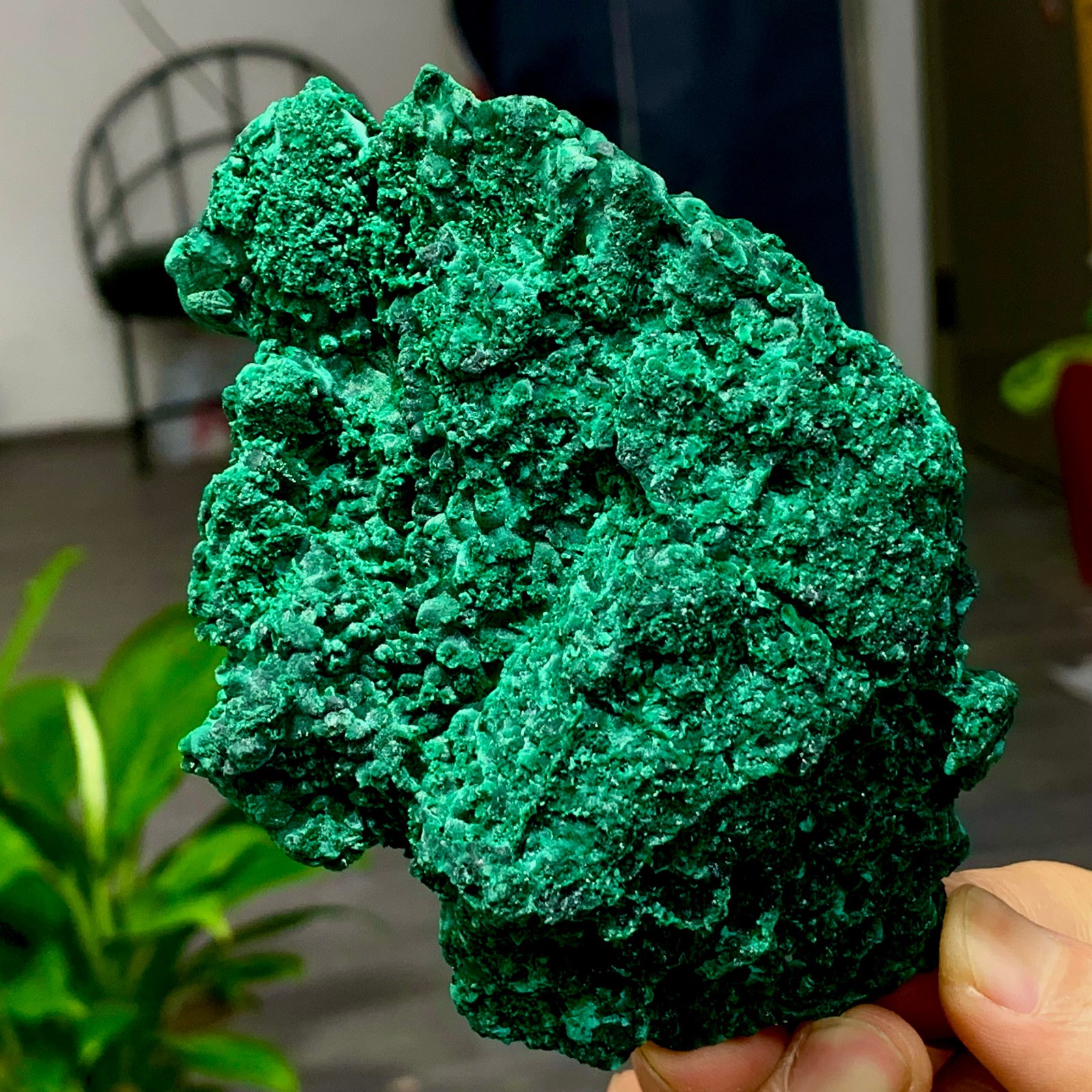 205g Natural glossy malachite cat eye transparent cluster rough mineral Sample