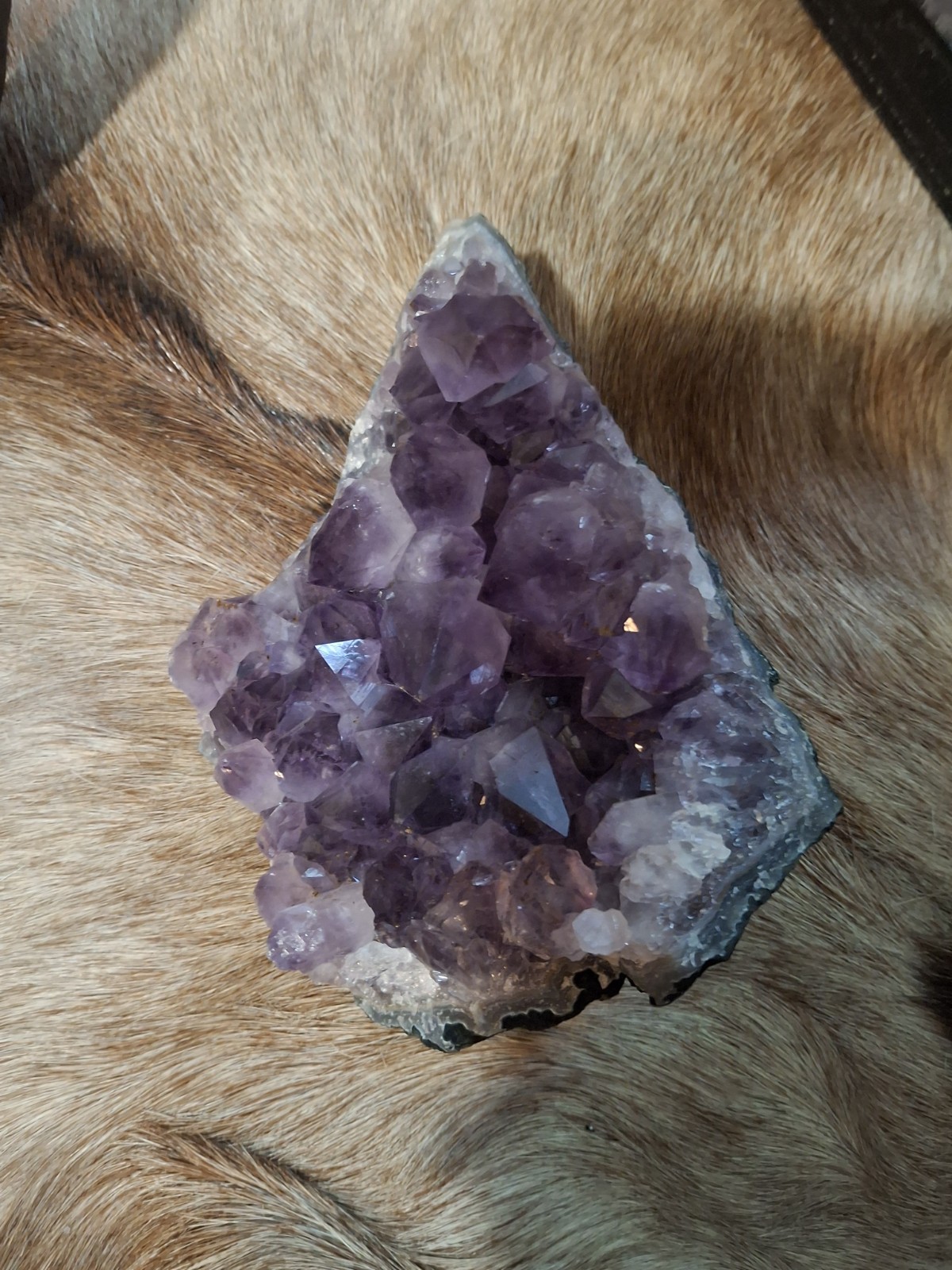 Amethyst Cluster