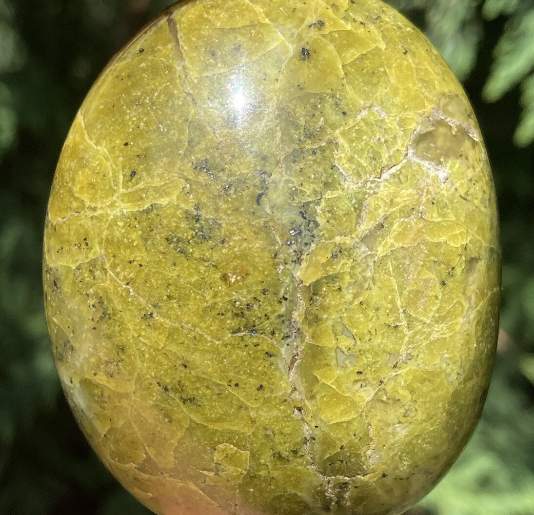 Handmade Polished GREEN OPAL Healing Crystal Palm Stone Pebble MADAGASCAR 2.28″