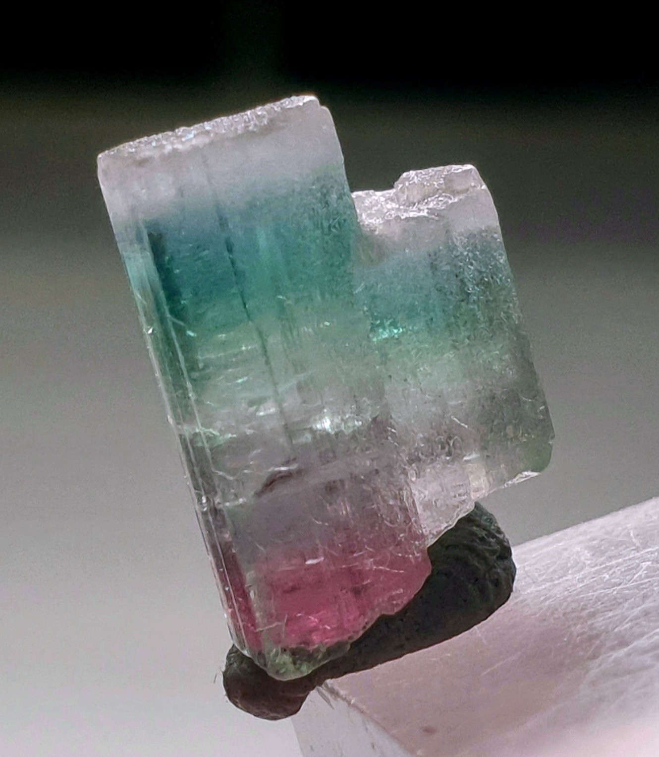 Saturated Top Quality Twin MultiColour Watermelon Terminated Tourmaline Crystal