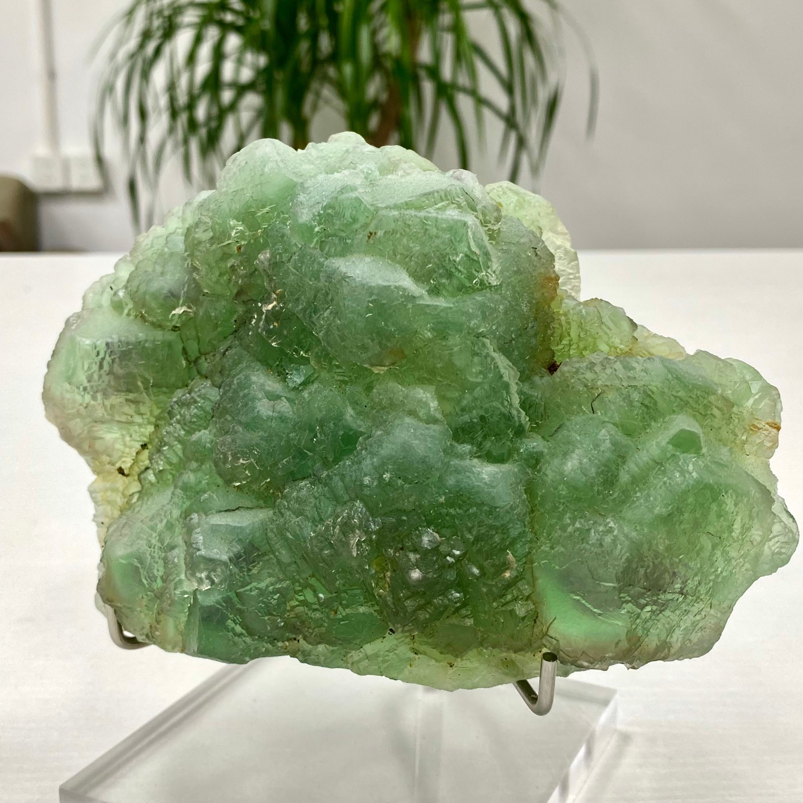 3.64LB Natural transparent green cubic fluorite mineral crystal sample/China