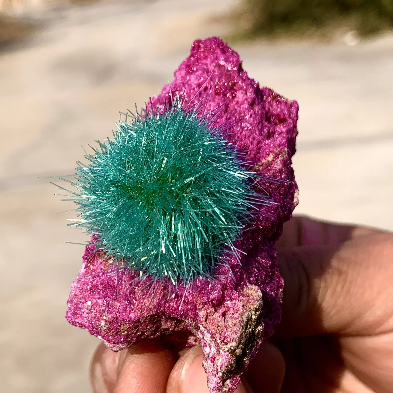 Rare Dandelion Zeolite Cluster Quartz Geode Specimens Mineral Crystal Decor
