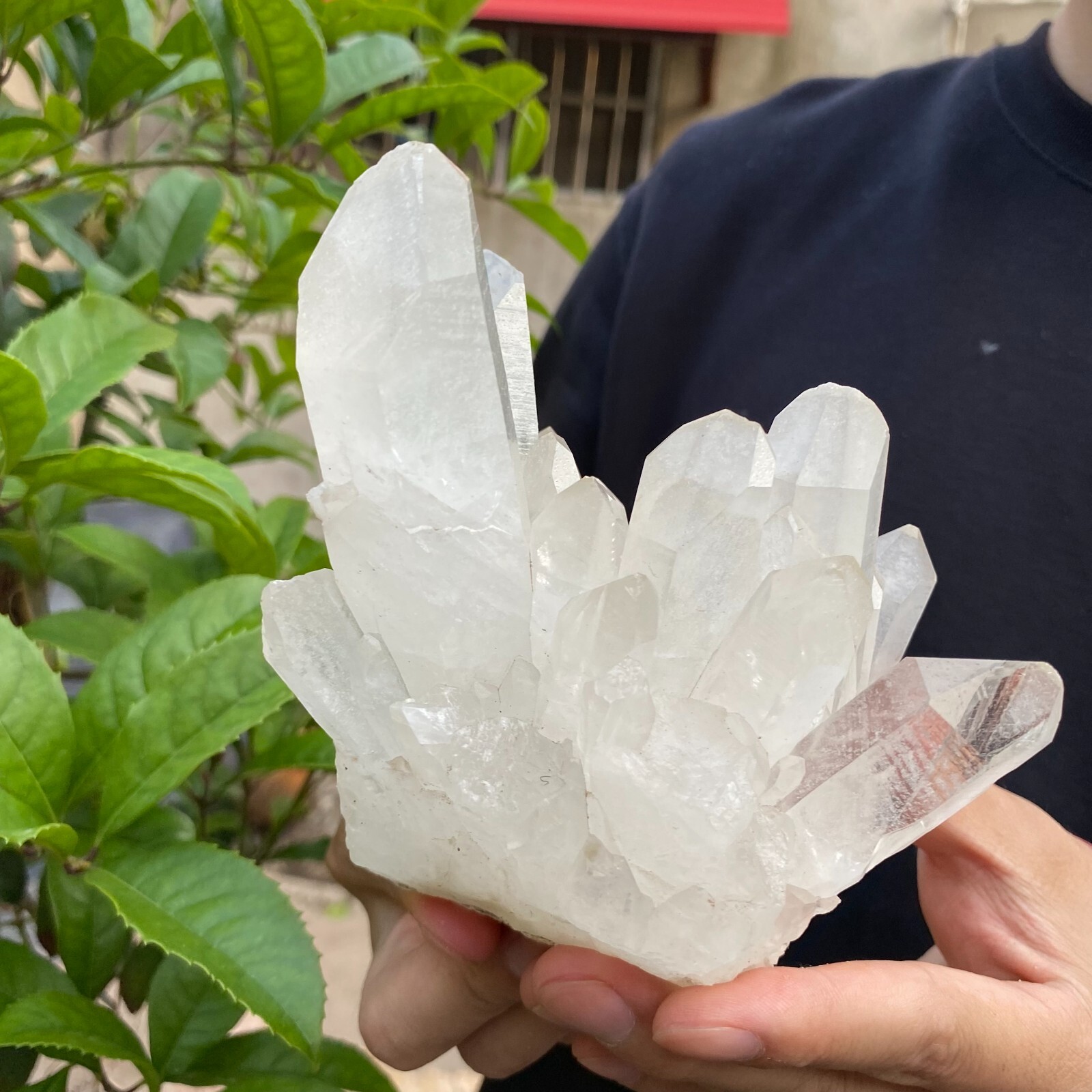 2.4lb Natural Clear White quart Crystal Cluster Raw Healing Specimen