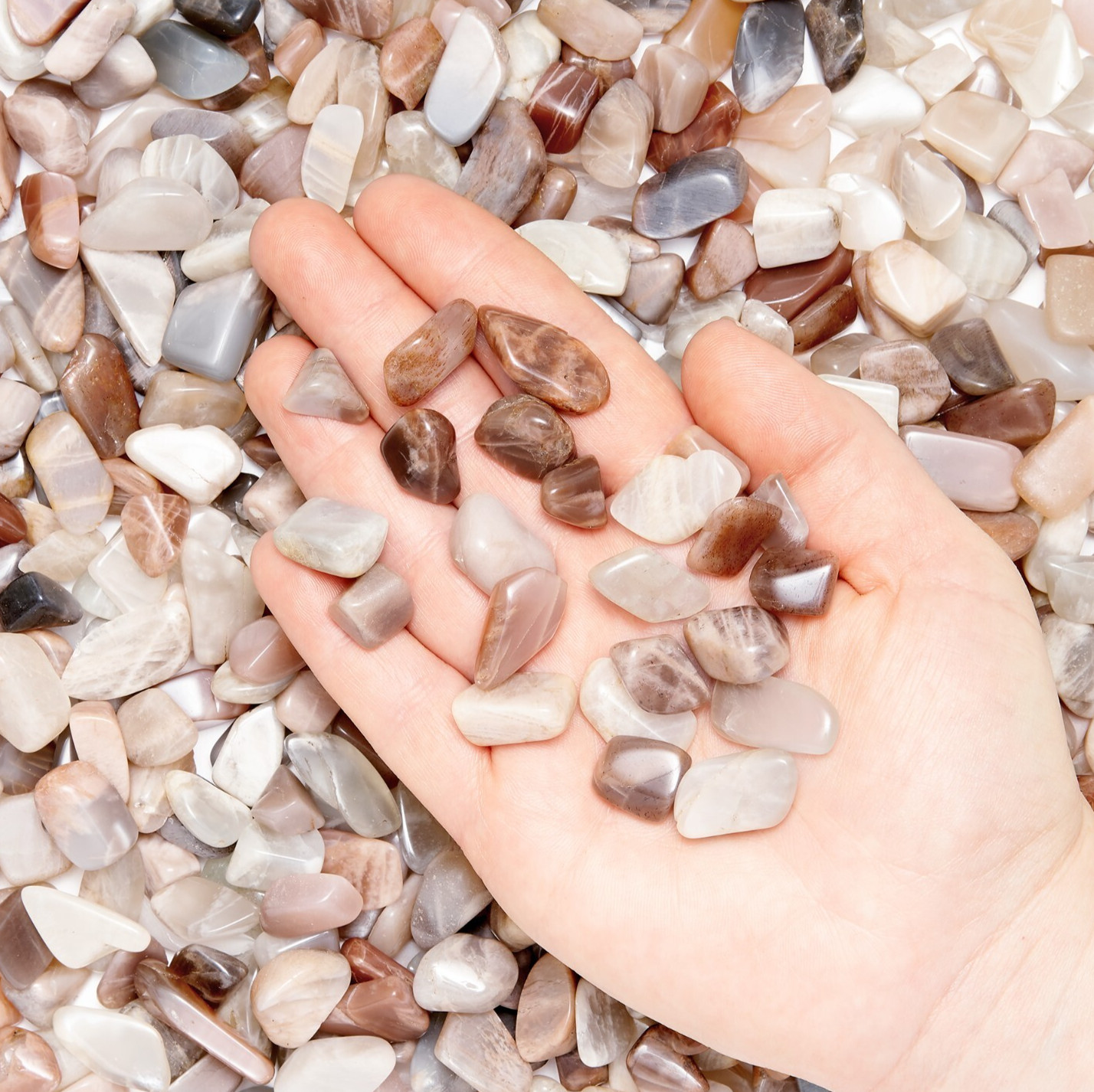 50g Small Tumbled Moonstone Gemstone Crystals 15-30 Stones Gem Rock Specimens