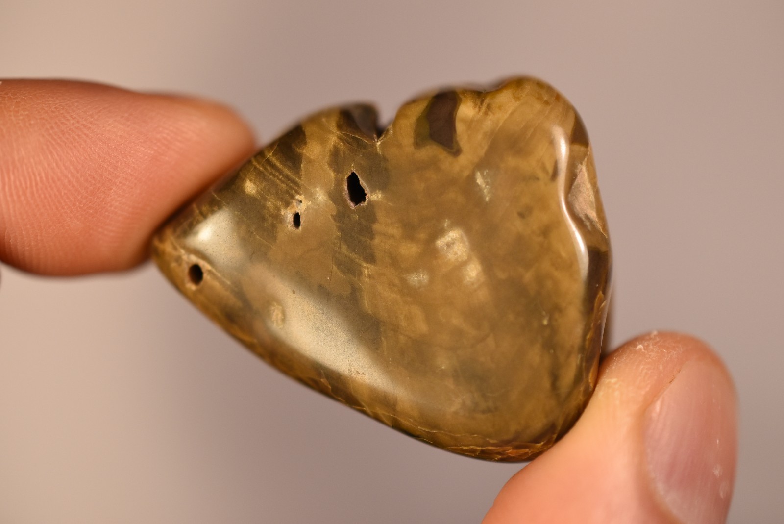 2 *AUSTRALIAN PETRIFIED WOOD* Tumbled Stones 4cm 58.2g Natural Stone QLD