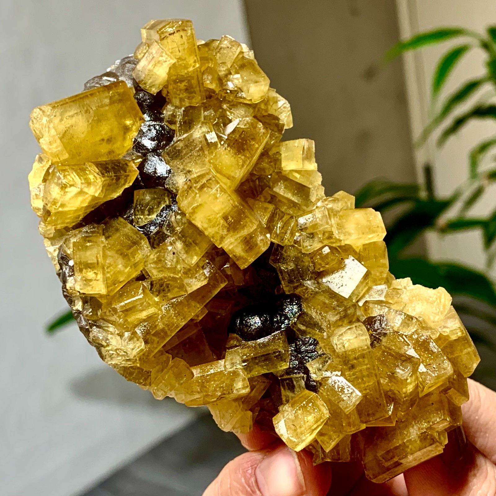 300G Shiny Golden Cuboid Barite Crystal Based on the Purple Spherical Fluorite