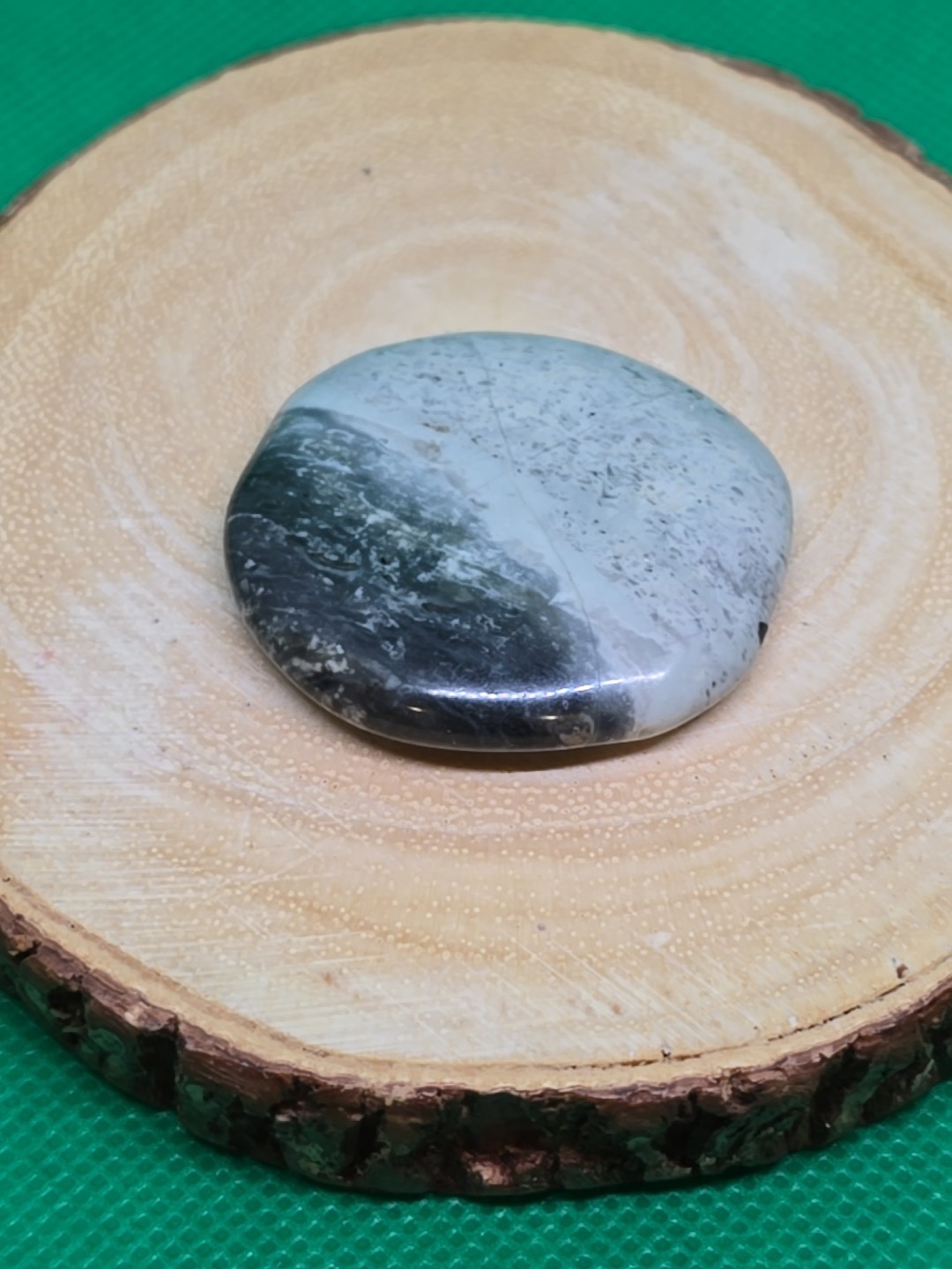 Ocean Jasper Palm Stone Palmstone Flat Pocket Polished