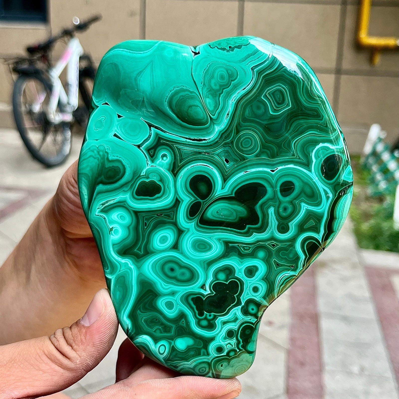 2.2 lb Malachite Quartz Freeform One Side Polished Natural Crystal Specimen