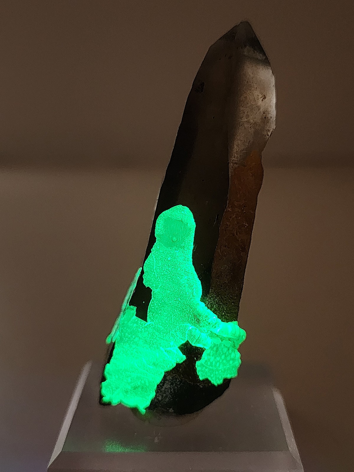 ✨Rare Hyalite Opal on Terminated Tessin Smoky Quartz✨️ Erongo Namibia