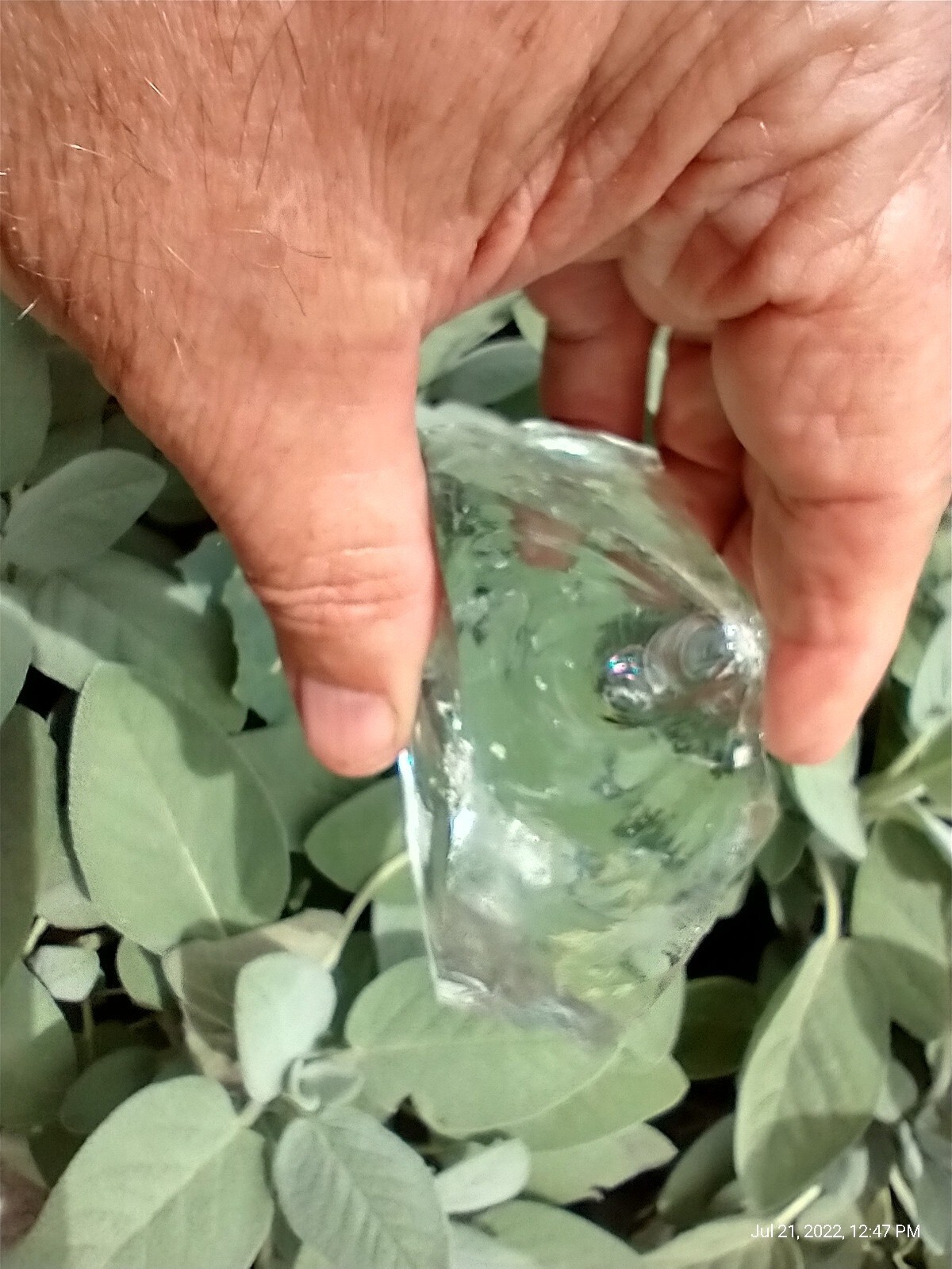 Sacred Land Andara Crystal Spiritual wellness King of Solomon 219 Grams
