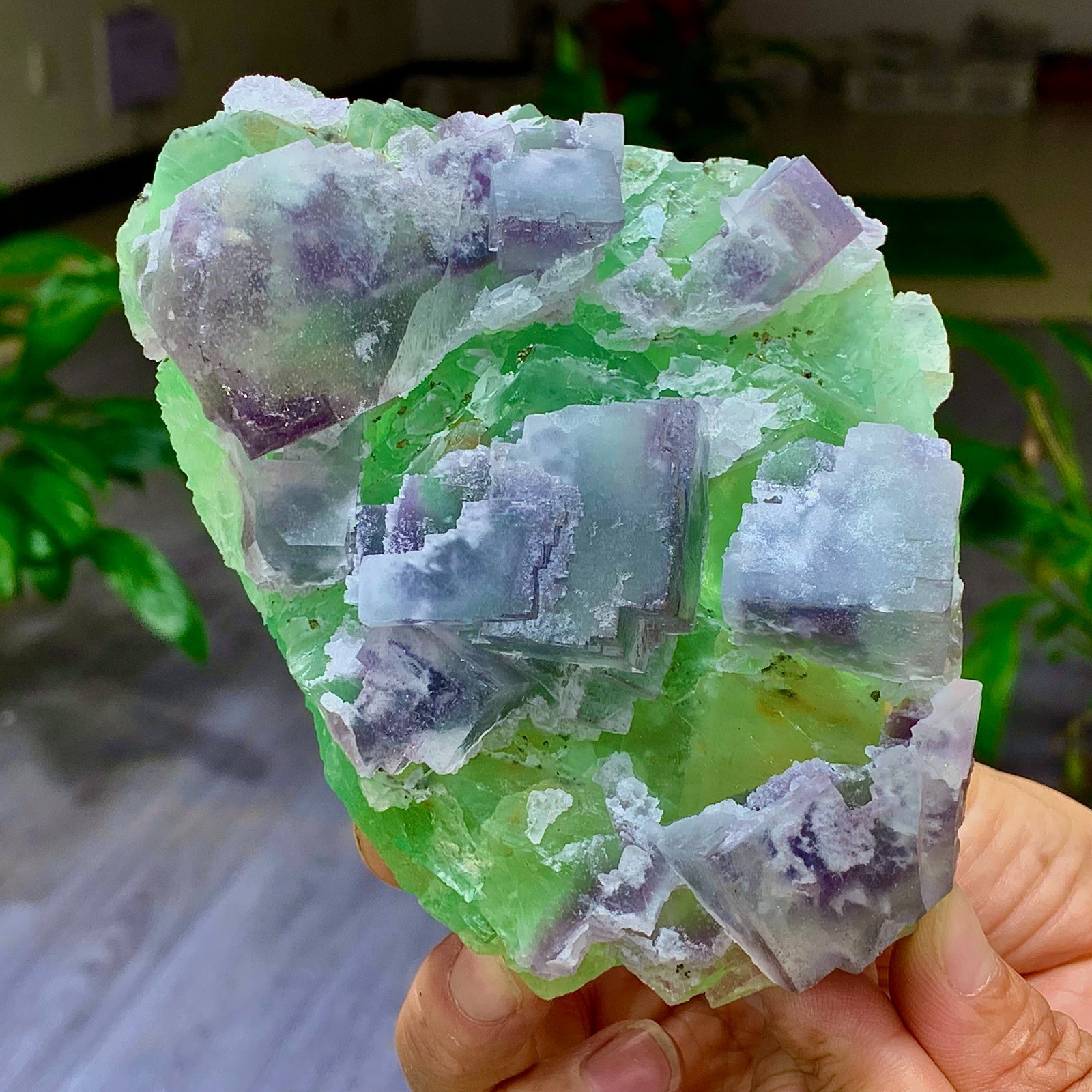 1.7LB Rare transparent green purple cubic Zhejiang fluorite mineral sample